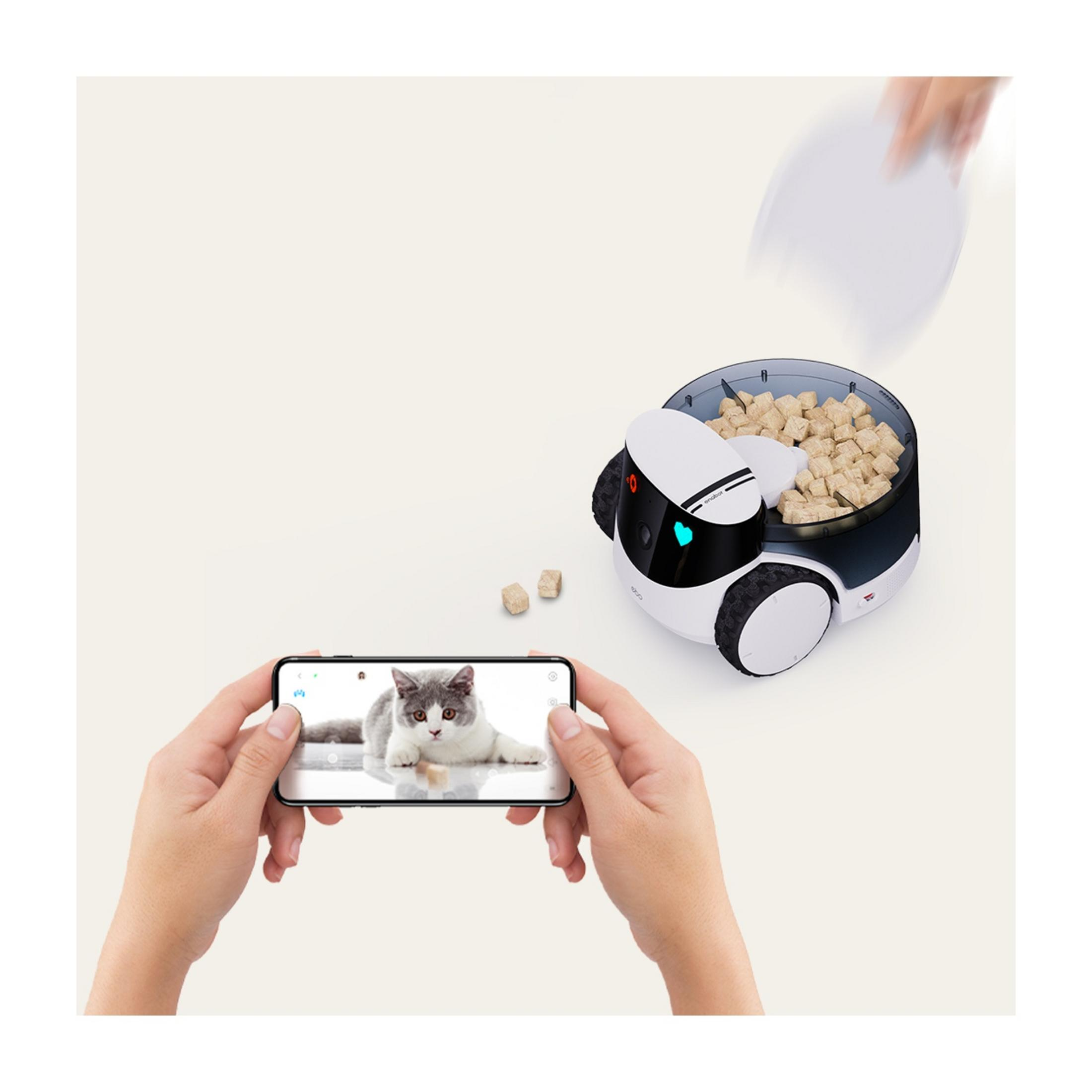 Ein Roboter-Futterspender mit Futterwürfeln, der von einem Smartphone mit Katzenfoto gefilmt wird.