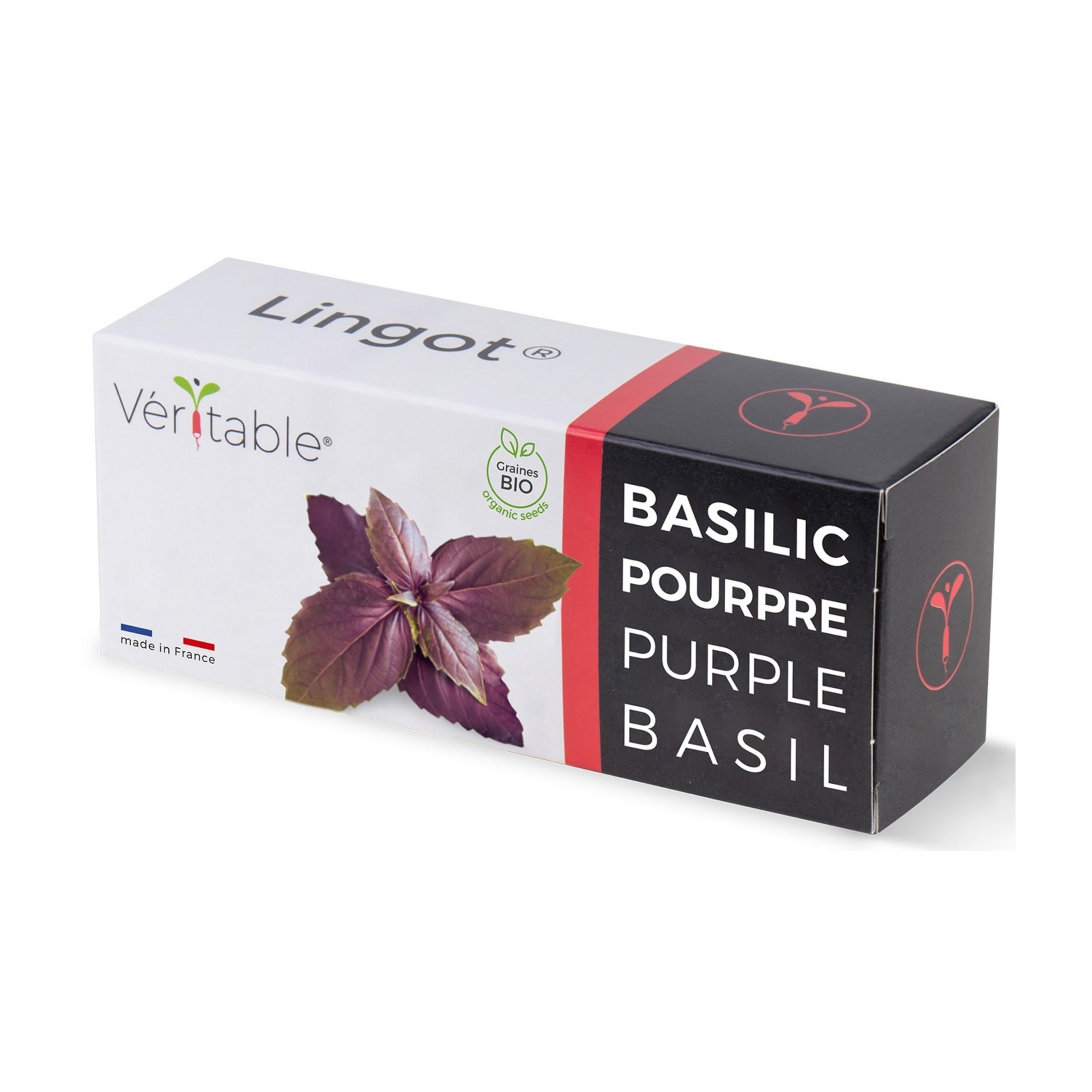 Confezione con foglia di basilico viola e testo 'BASIL PURPLE BASIL'.