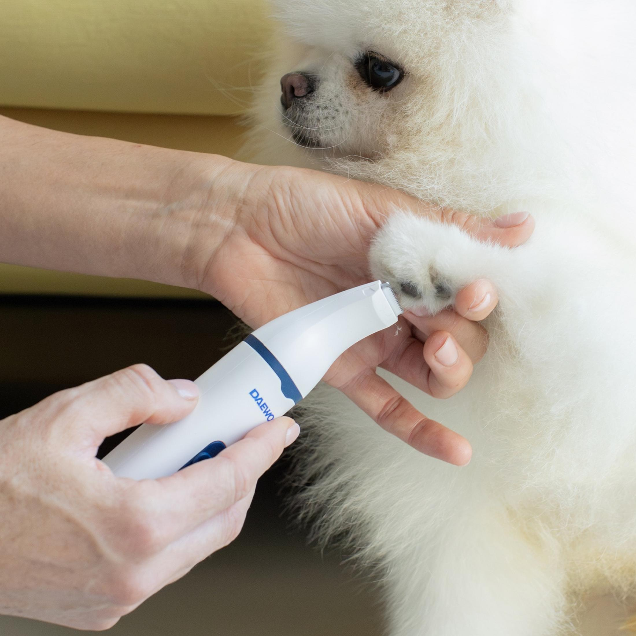Una mano usa un tagliaunghie elettrico sulla zampa di un Pomerania bianco.