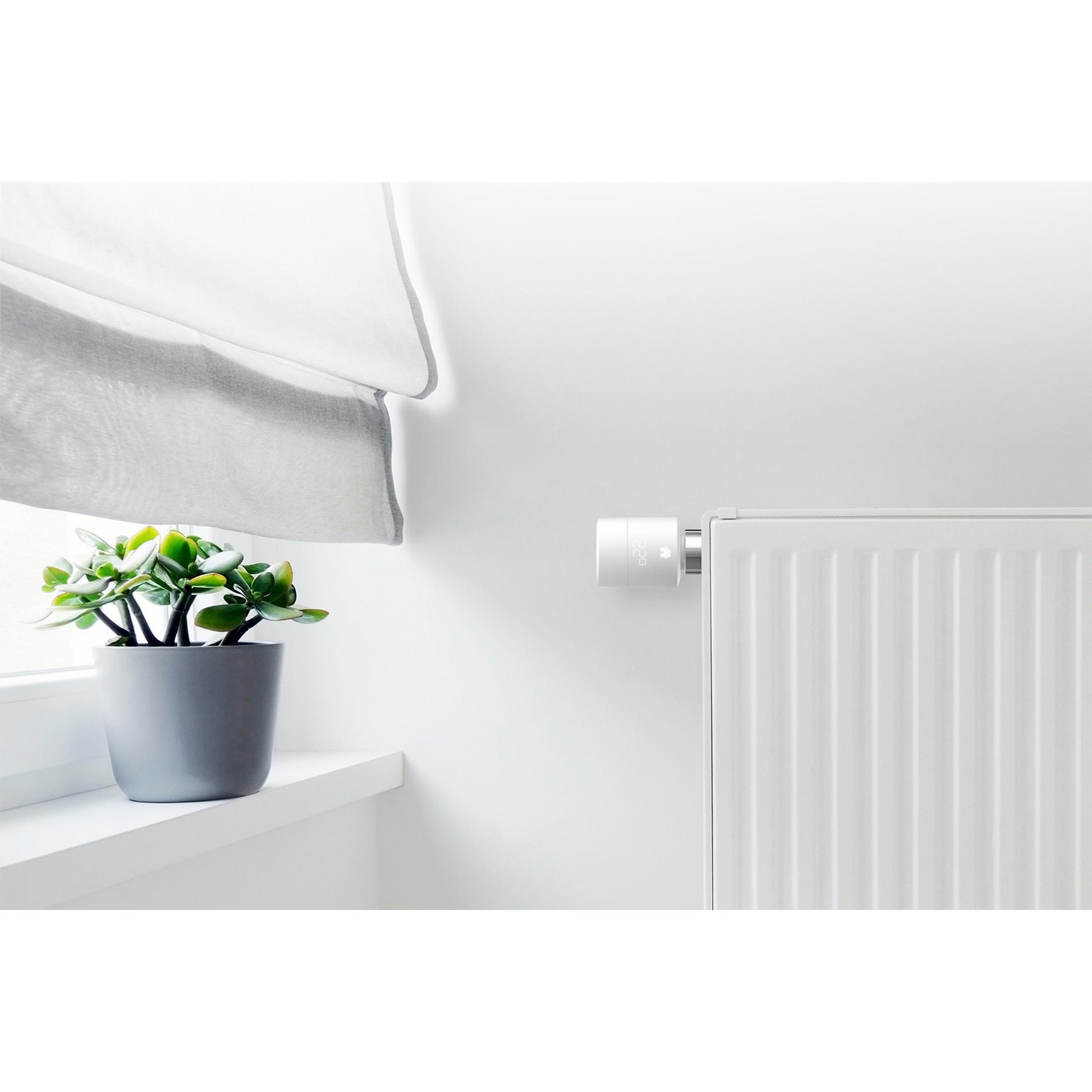 Ein weißer Heizkörperthermostat auf einem weißen Heizkörper, neben einem Fenster mit Topfpflanze.