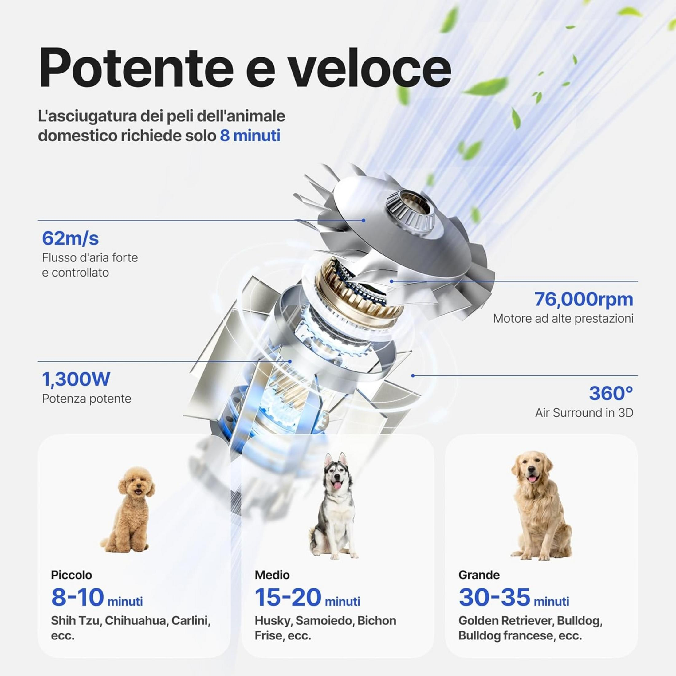Mocna suszarka do sierści zwierząt ze specyfikacjami i rozmiarami psów.