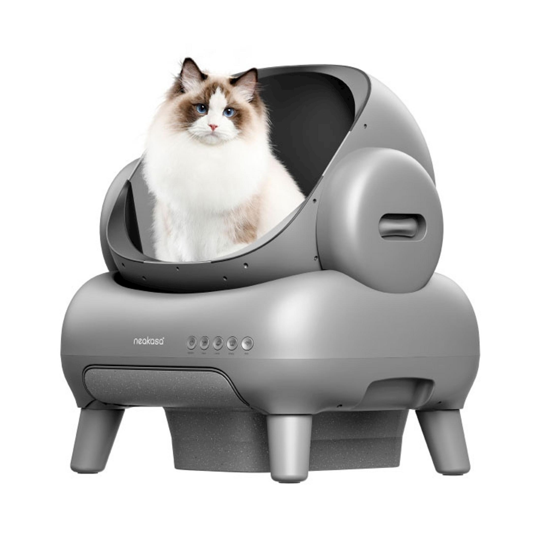 Gri, otomatik bir kedi tuvaletinde oturan bir kedi.
