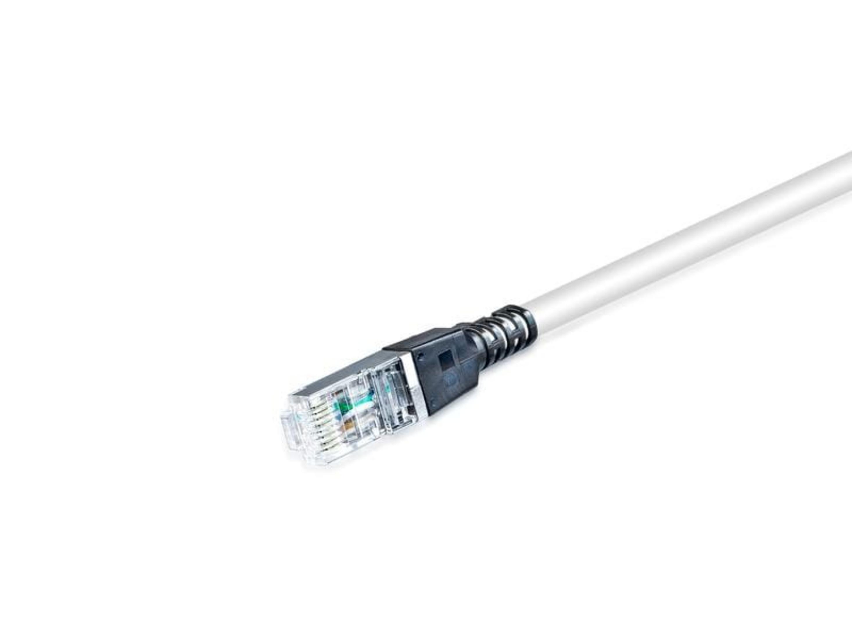 Un câble réseau blanc avec connecteur RJ45 transparent.