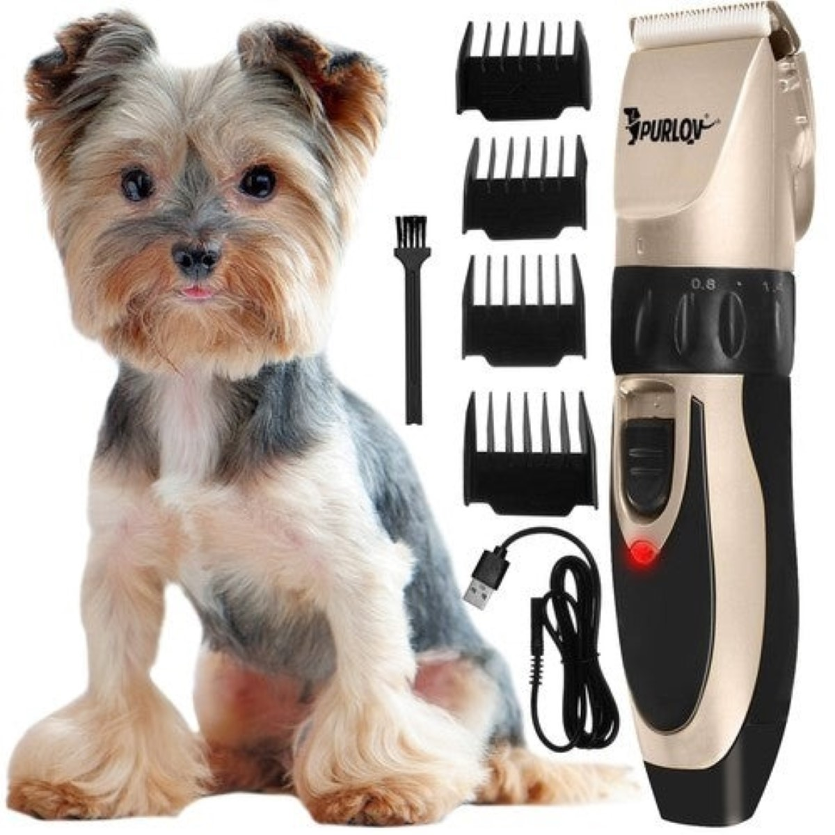 Uno Yorkshire Terrier siede accanto a un set di tagliacapelli con accessori.