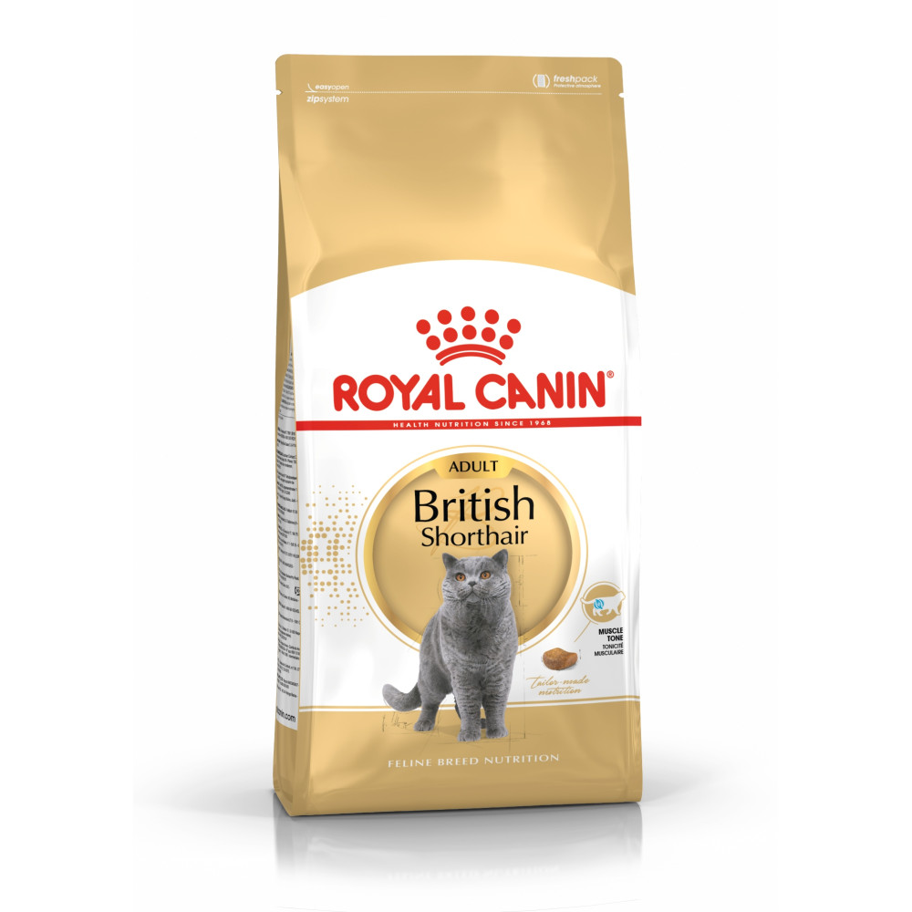 Złota torba Royal Canin dla dorosłych kotów brytyjskich krótkowłosych.