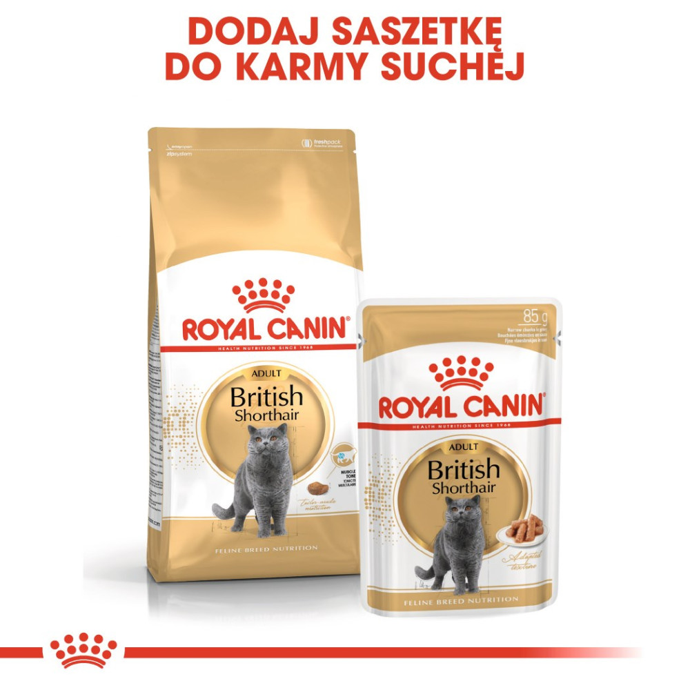 Dwie paczki Royal Canin dla kota Brytyjskiego Krótkowłosego w kolorze złota i bieli.