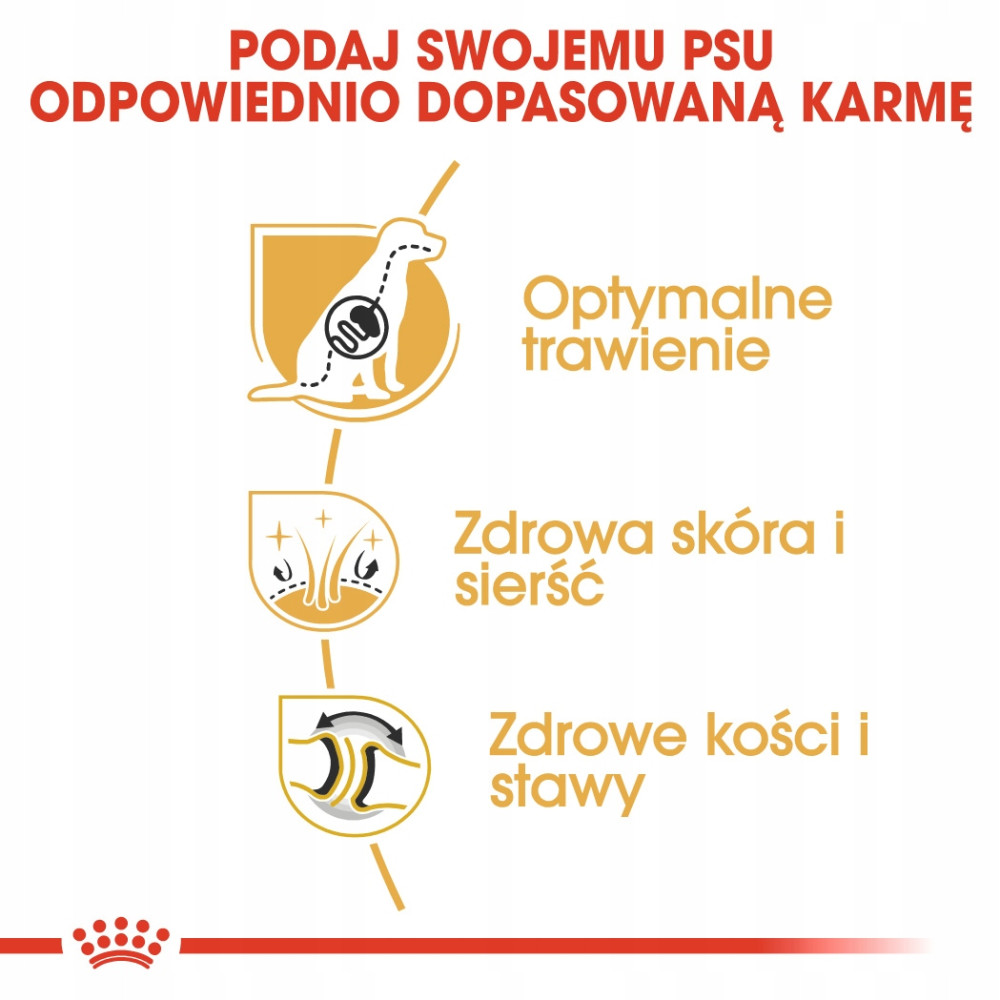Grafika pokazuje korzyści dla psów: trawienie, skóra i sierść, kości i stawy.
