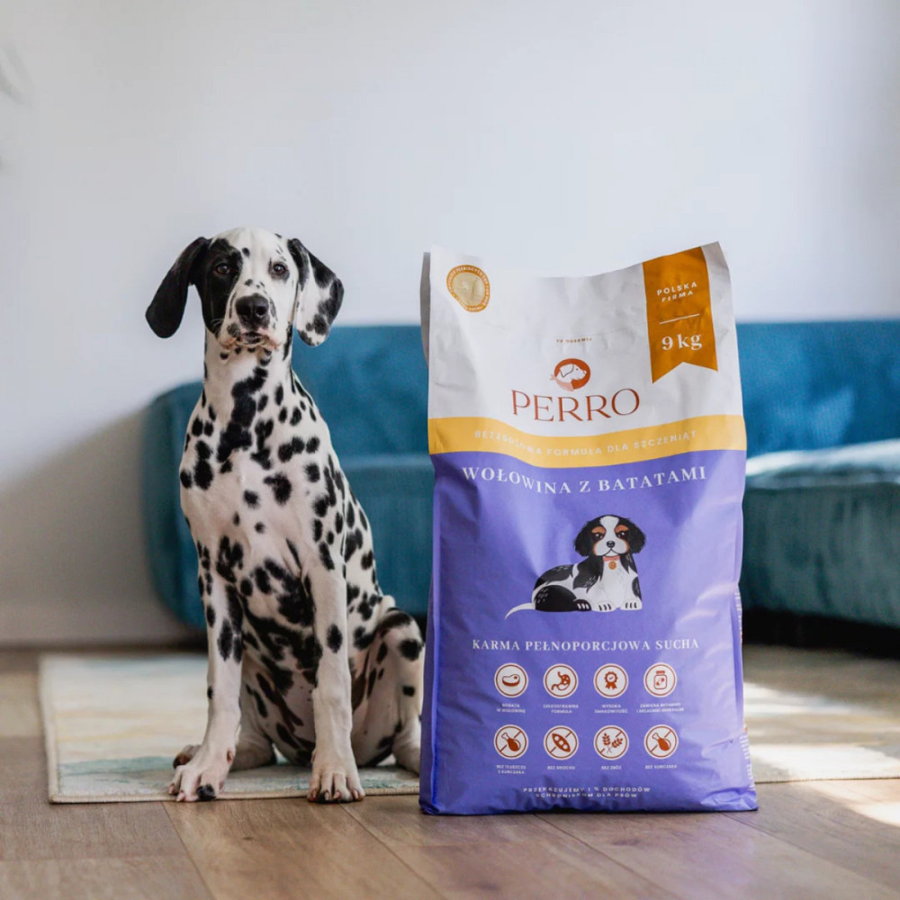 Dalmatyńczyk siedzi obok worka karmy dla psów PERRO. Worek 9 kg.
