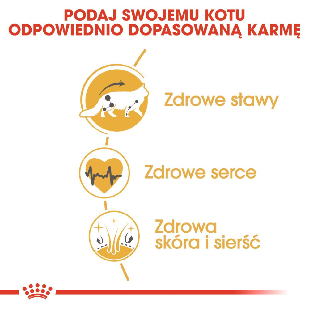 Grafika pokazuje korzyści dla kota: stawy, serce, skóra i sierść.