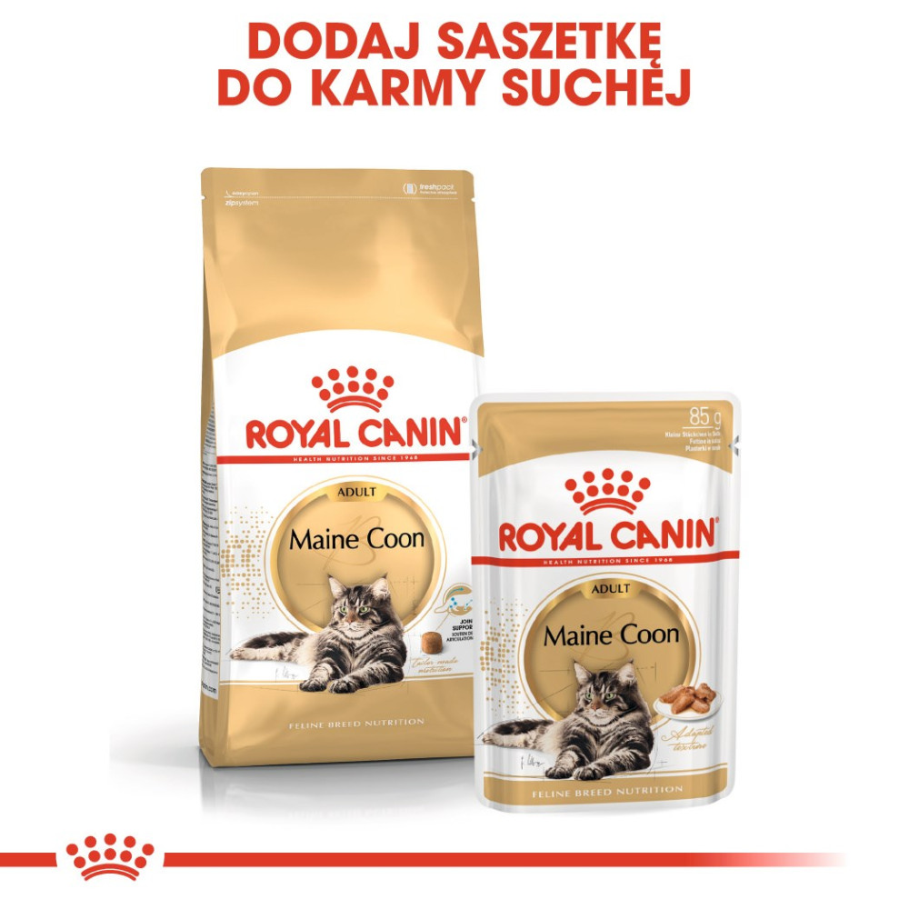 Karma sucha i mokra Royal Canin Maine Coon dla dorosłych kotów.