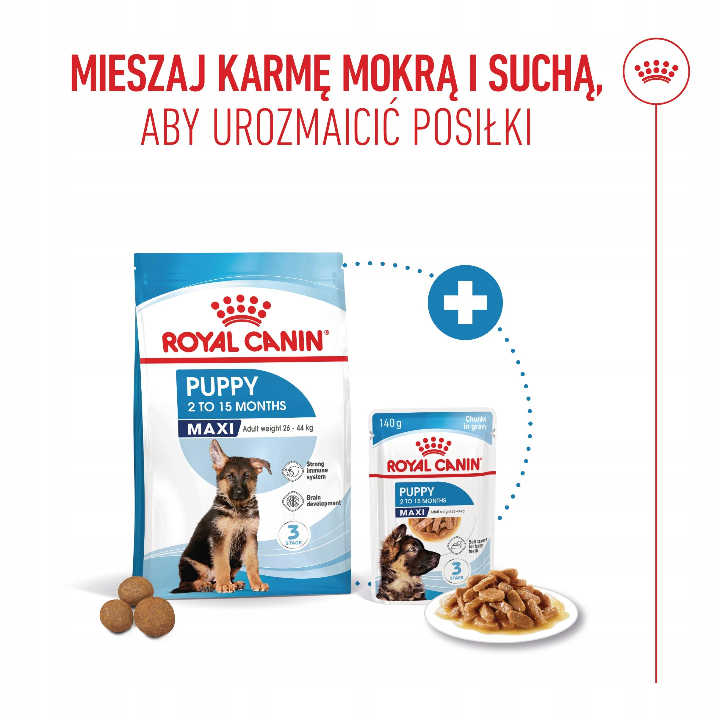 Karma Royal Canin dla szczeniąt: suche i mokre opcje karmy.