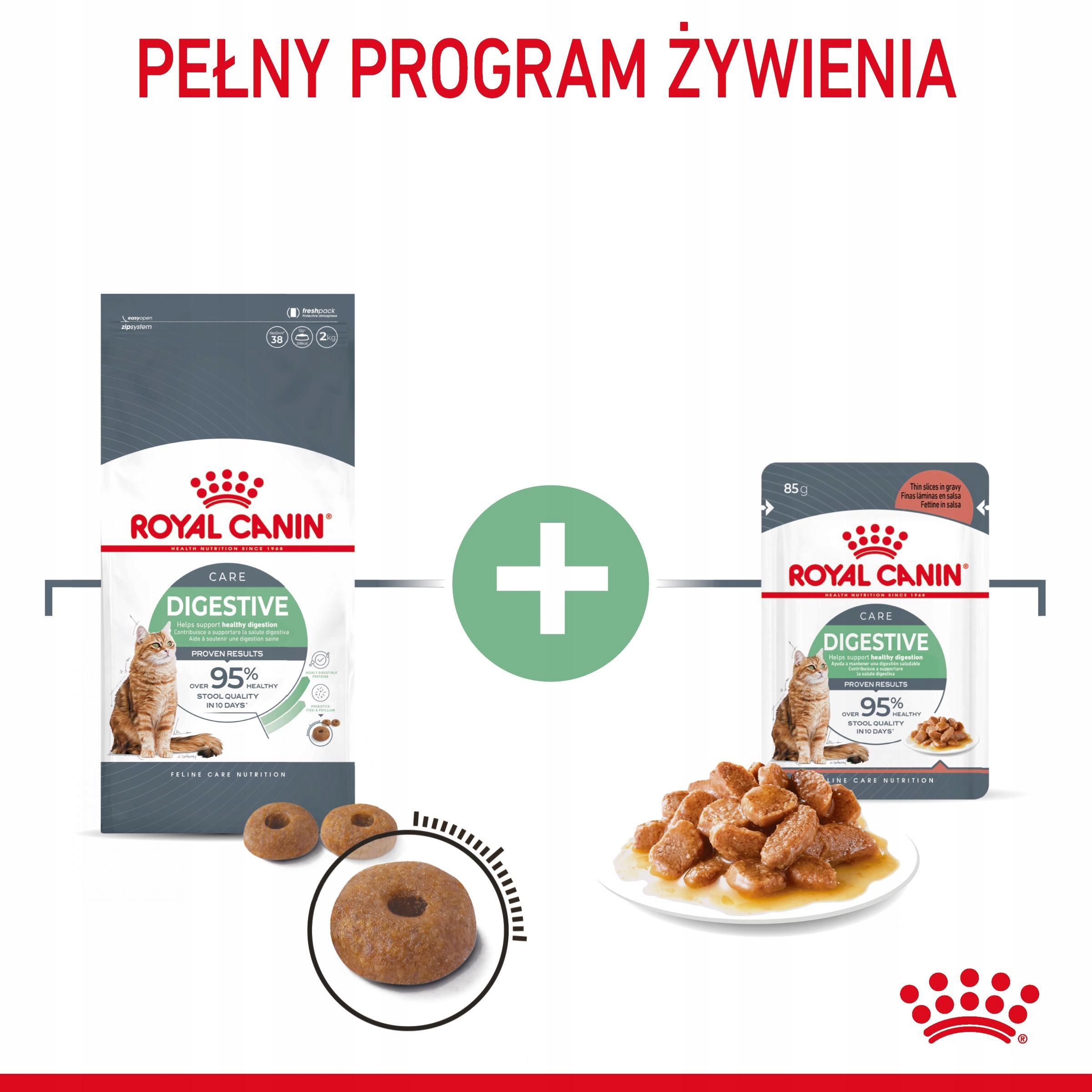 Karma Royal Canin Digestive dla kotów: sucha karma, mokra karma, kot.