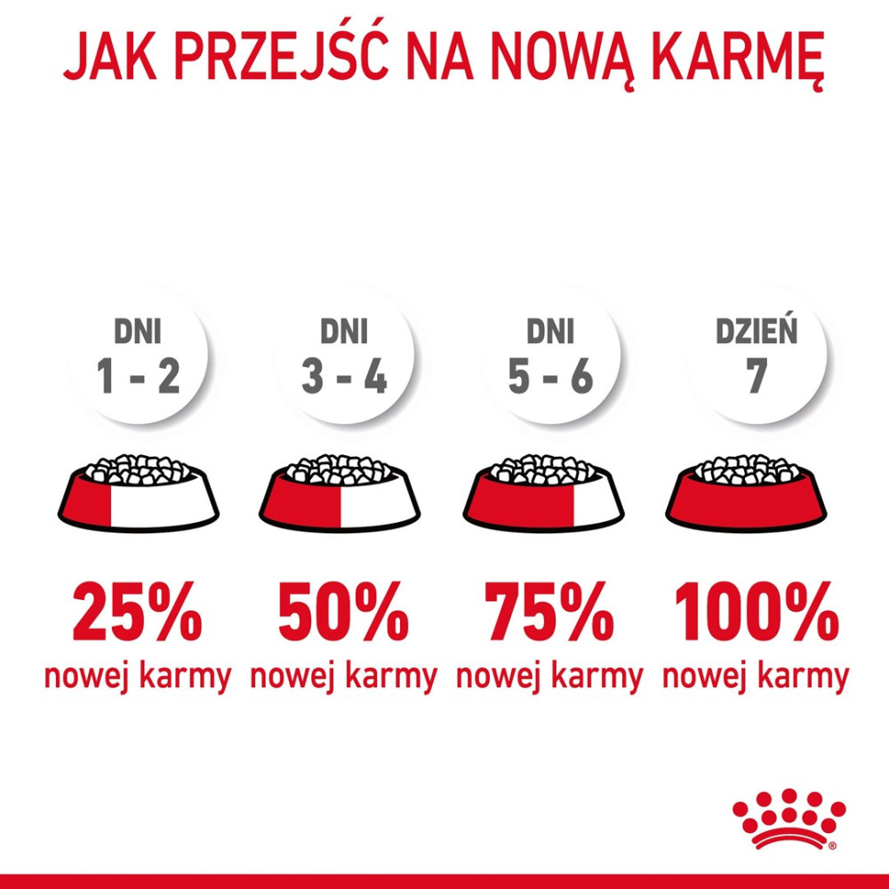 Przejście na nową karmę: 25%, 50%, 75%, 100% nowej karmy.