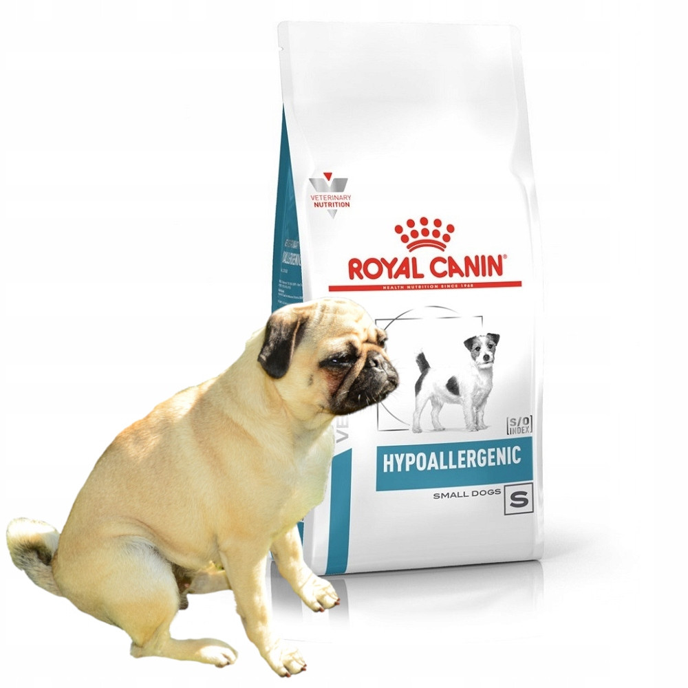 Mops siedzi obok worka karmy dla psów Royal Canin Hipoalergiczna.
