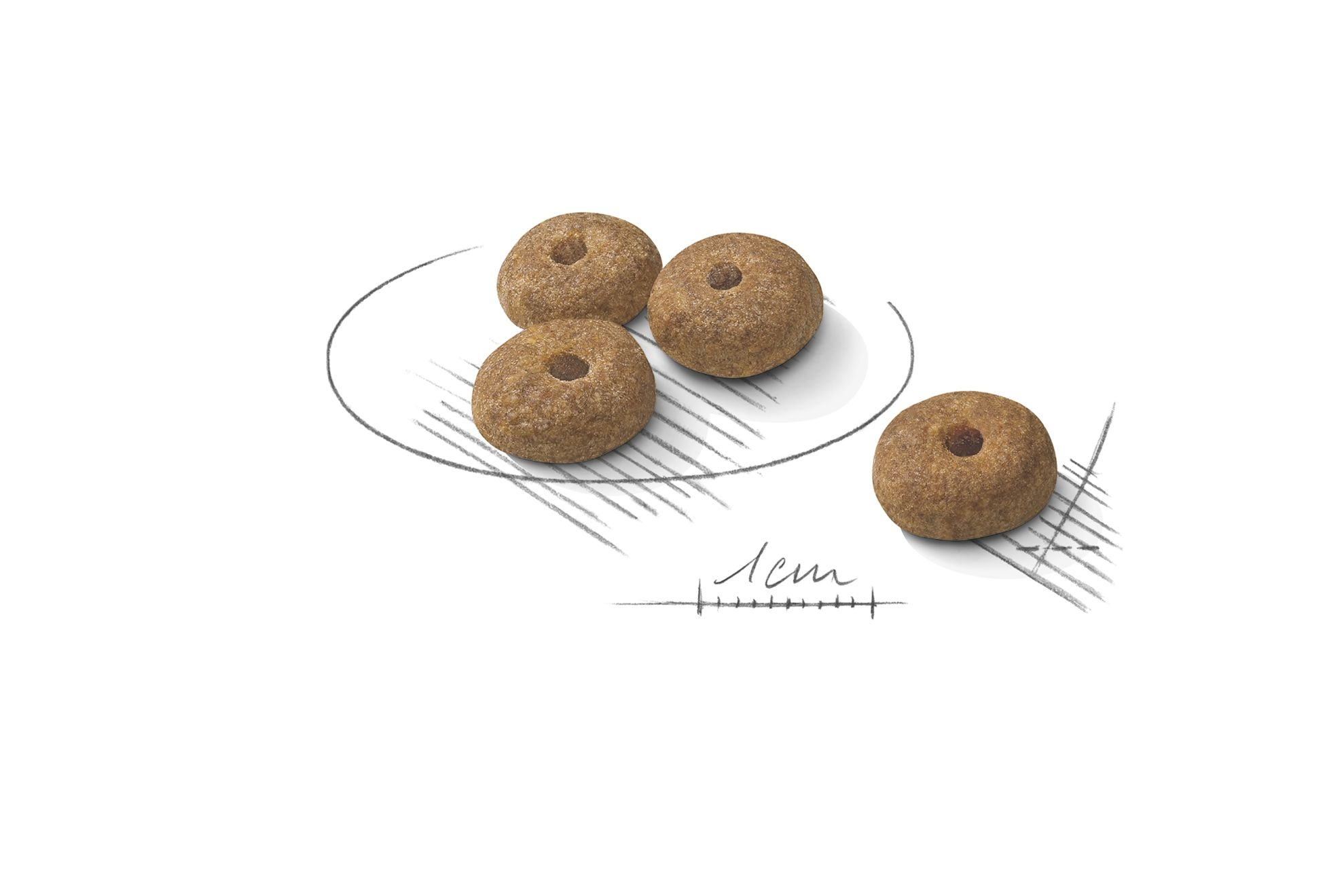 Cztery okrągłe, brązowe granulki na białym tle.