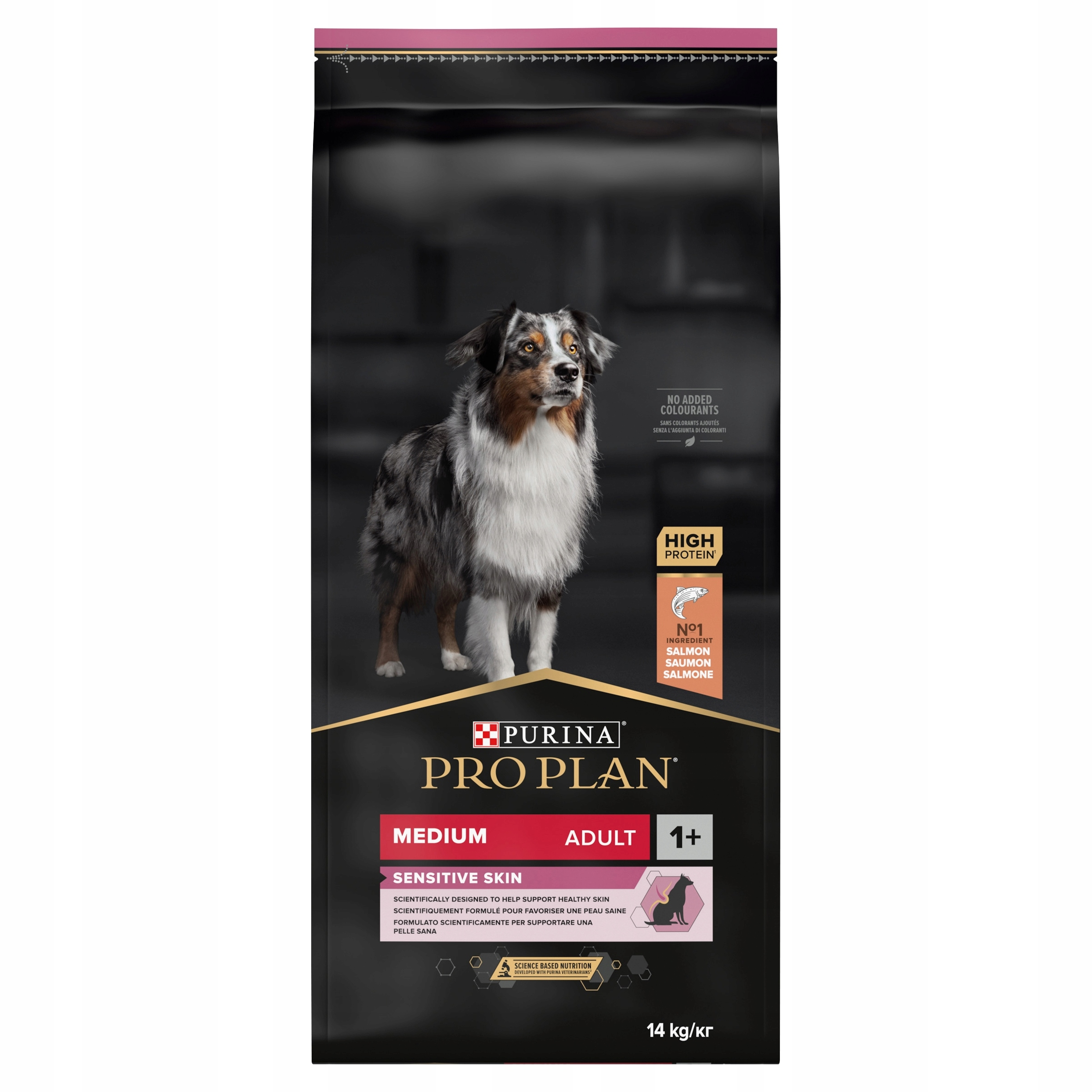 Pies rasy Australian Shepherd na opakowaniu karmy dla psów Purina.