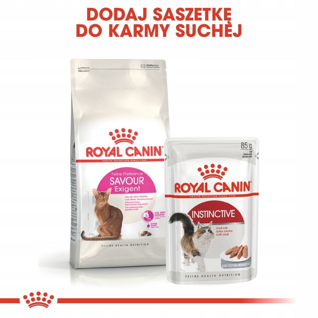 Dwa opakowania karmy dla kota Royal Canin: sucha karma i mokra.