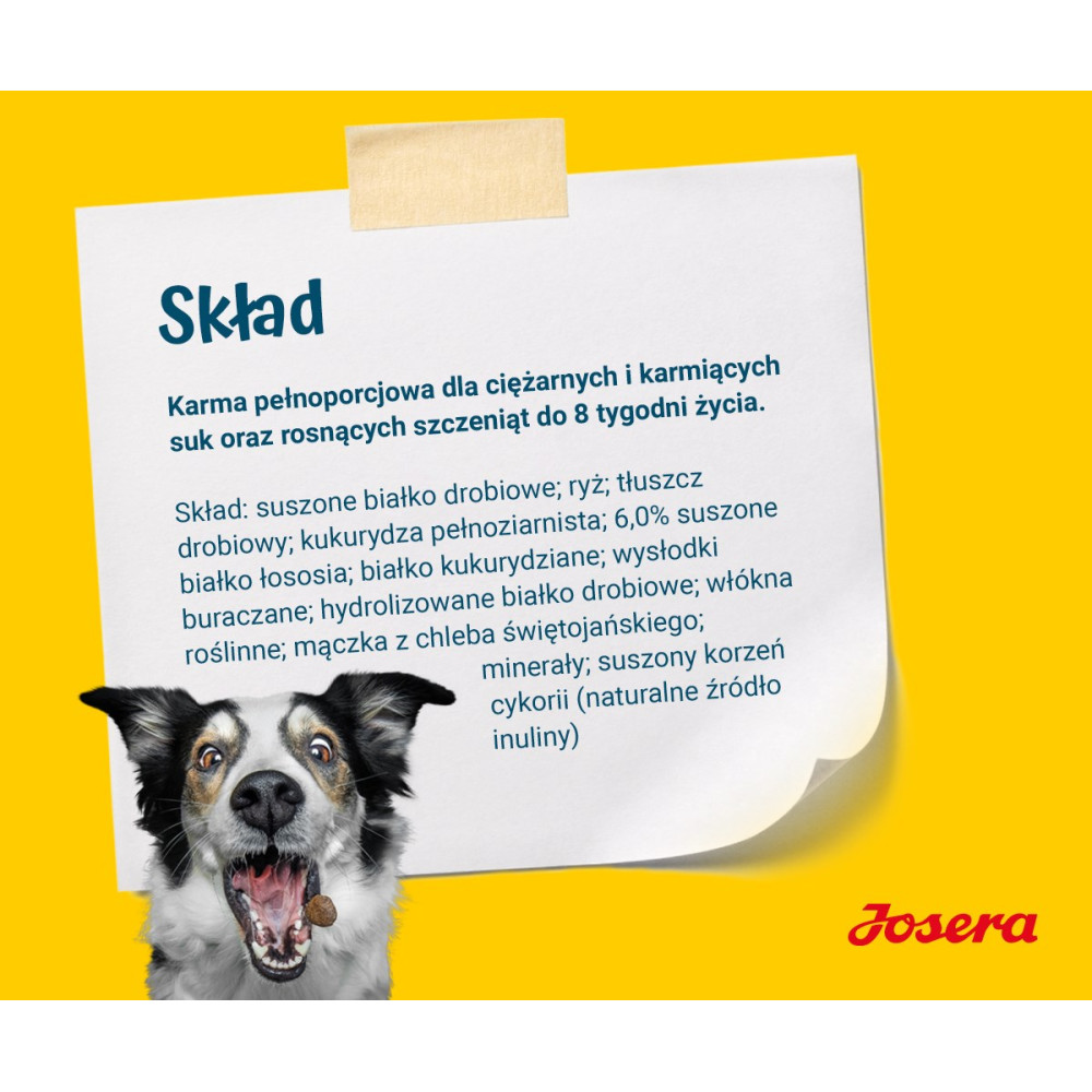 Un perro con la boca abierta y texto sobre comida para perros. Logo Josera.