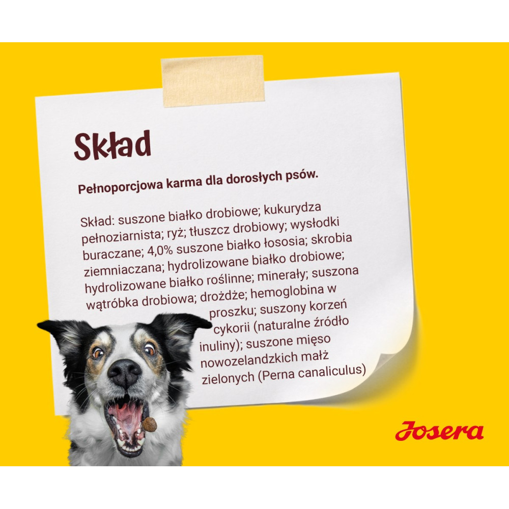 Pies z otwartym pyskiem patrzy na notatkę z listą składników karmy dla psów.