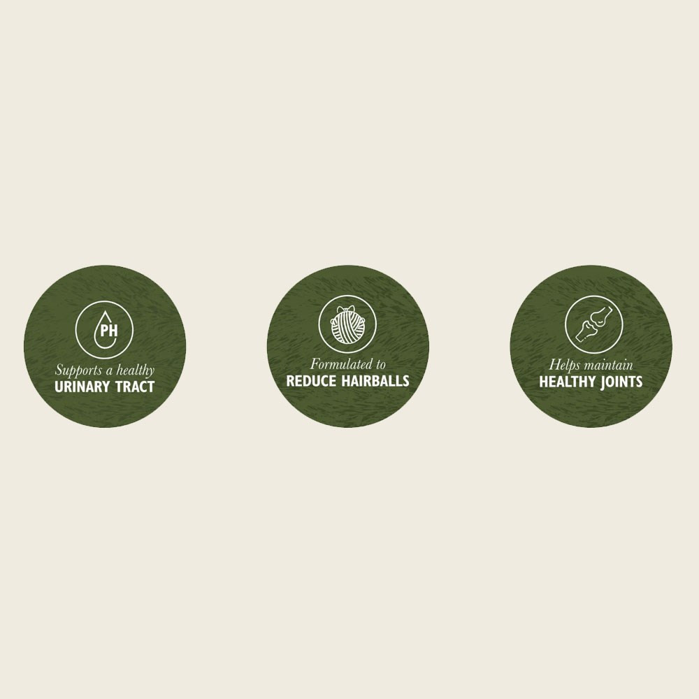 Trzy zielone koła z ikonami: PH, kłębek wełny, stawy.