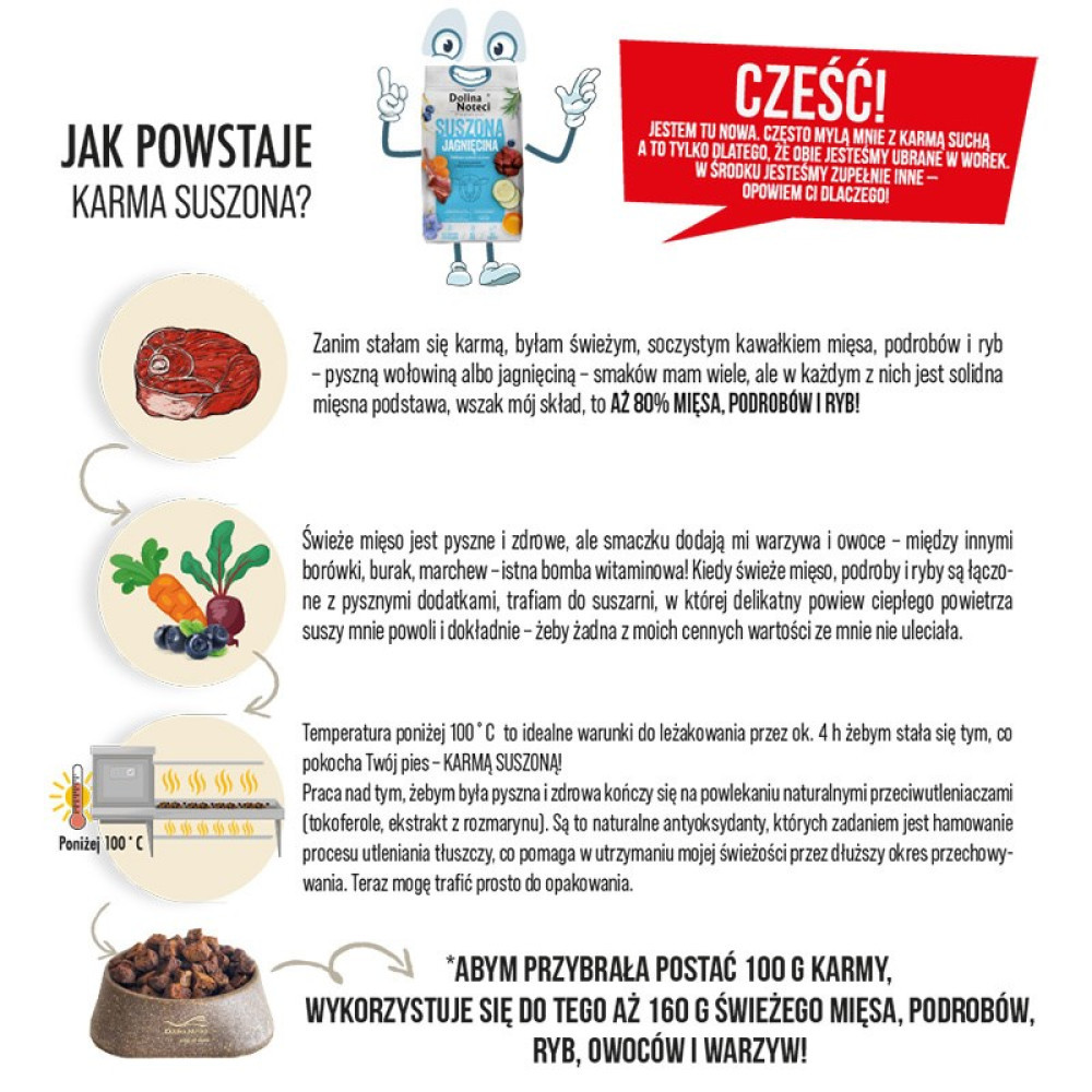 Ilustracje mięsa, warzyw, suszarni i suszonej karmy dla psów.