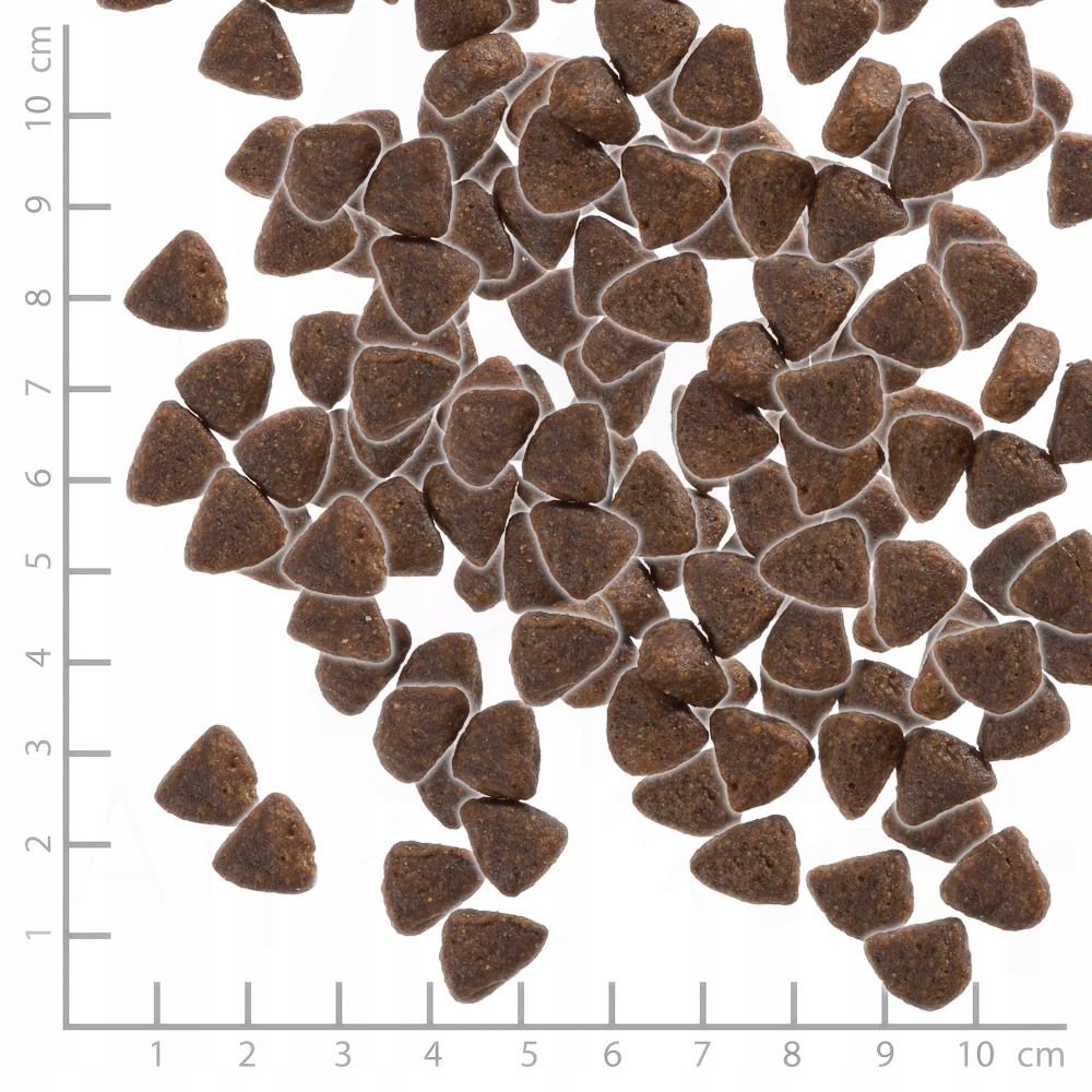 Wiele brązowych, trójkątnych granulek na białym tle ze skalą centymetrową.
