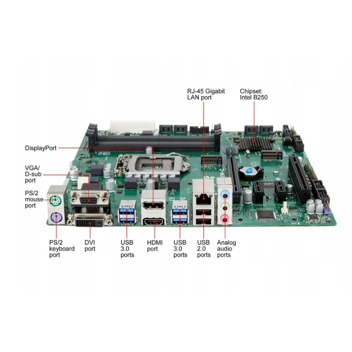 Scheda madre con porte: DisplayPort, VGA, PS/2, DVI, USB 3.0, HDMI, USB 2.0, LAN, audio.