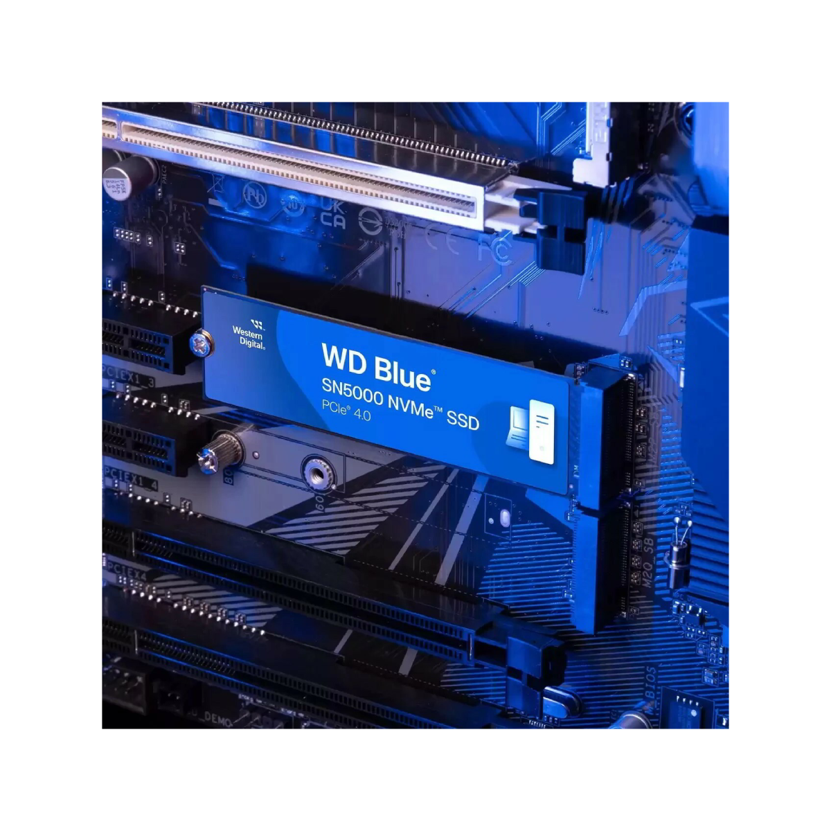 Niebieski dysk SSD NVMe WD Blue SN5000 jest zainstalowany na płycie głównej.