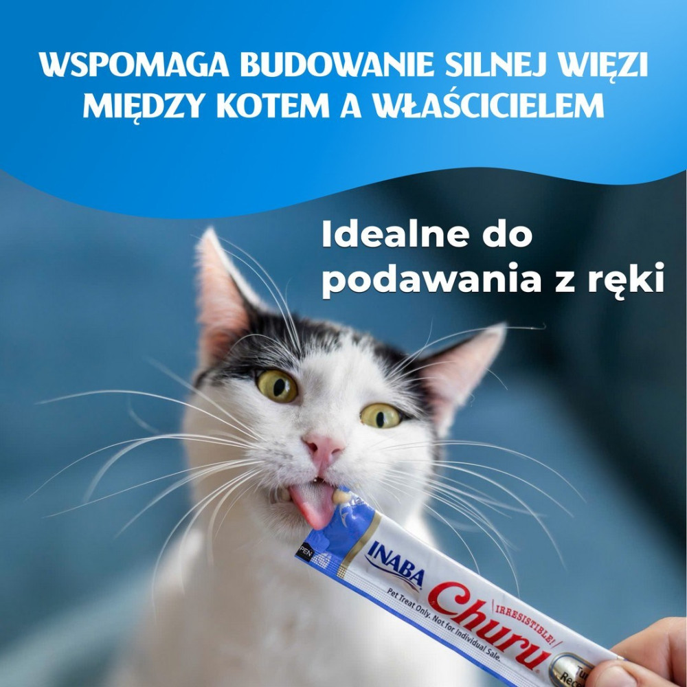 Kot liże przysmak Churu trzymany przez rękę.