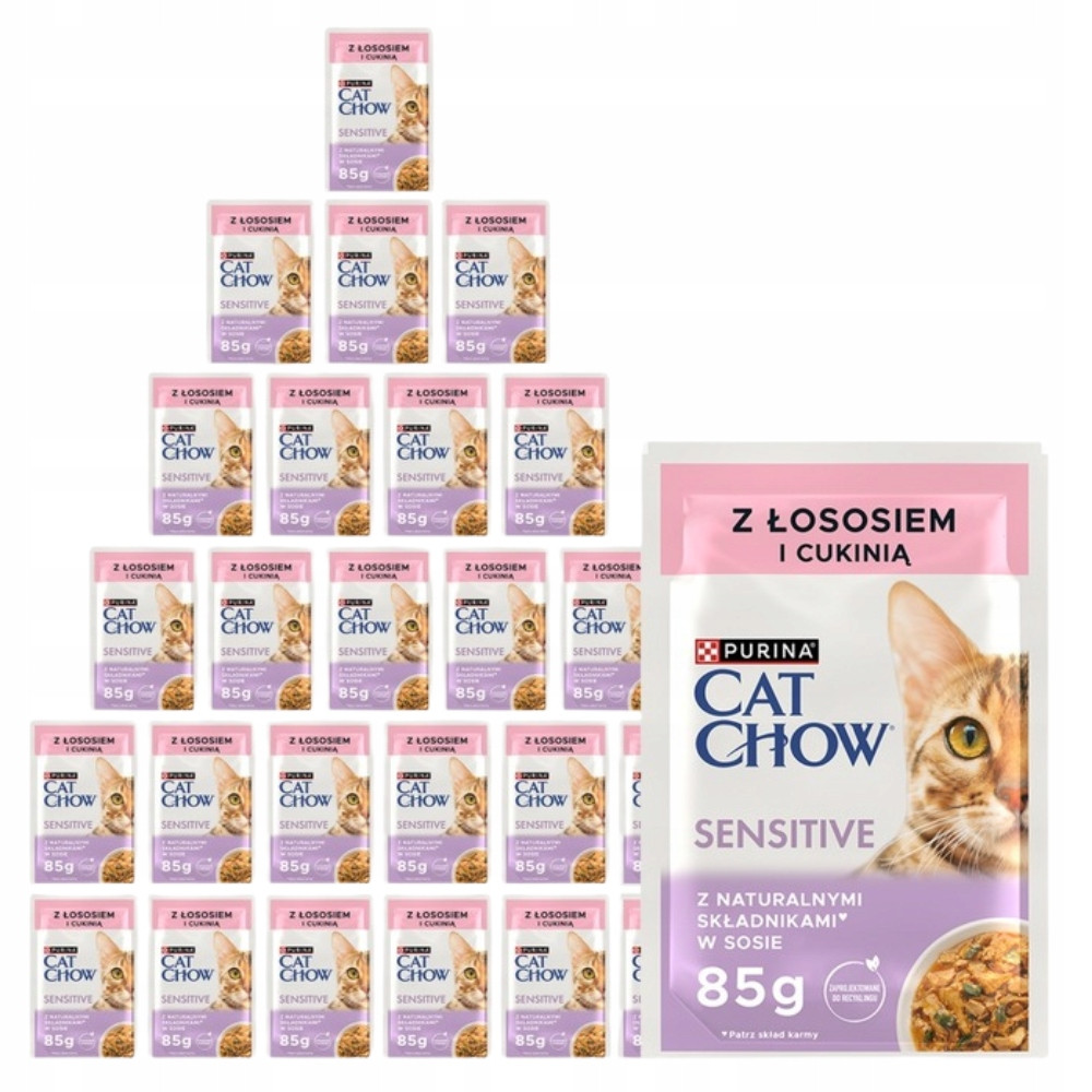 Wiele opakowań karmy dla kota z łososiem i cukinią, obok otwarta paczka.