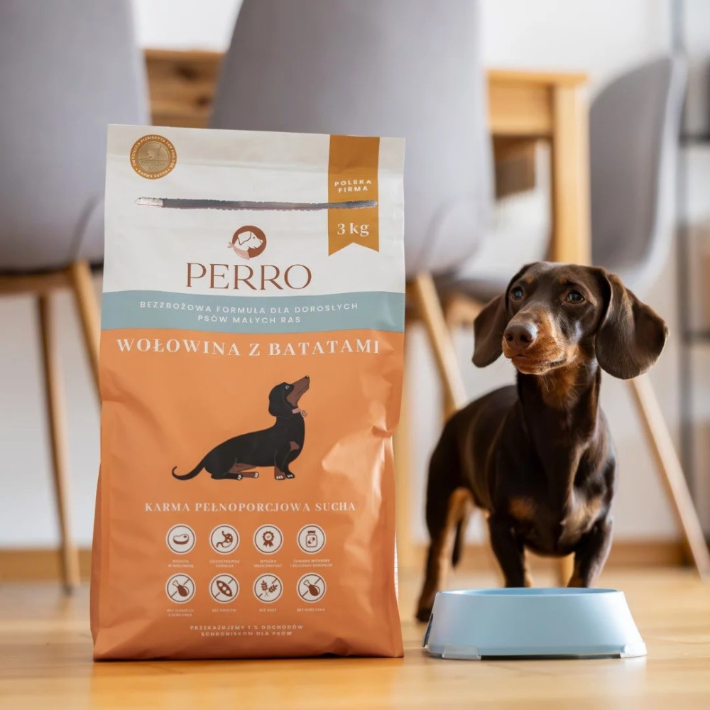 Jamnik stoi obok worka karmy dla psów i niebieskiej miski.