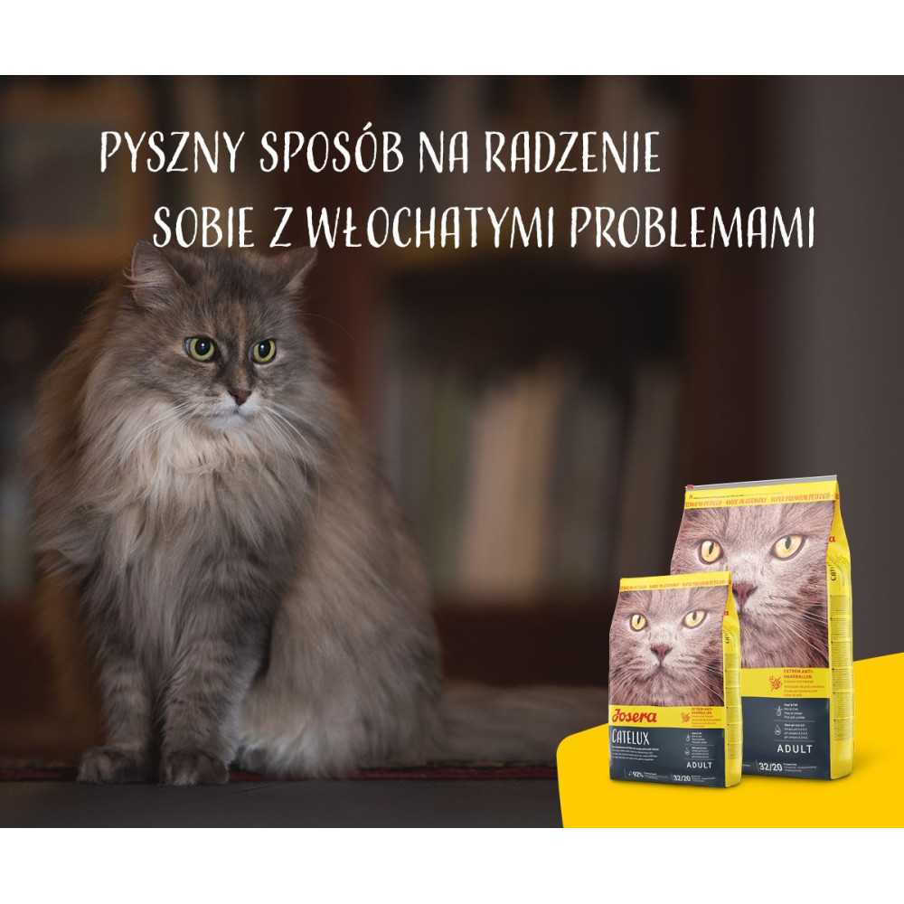 Kot siedzi obok dwóch worków karmy dla kotów. Tekst brzmi 'Pyszny sposób na radzenie sobie z kłopotami z sierścią.'