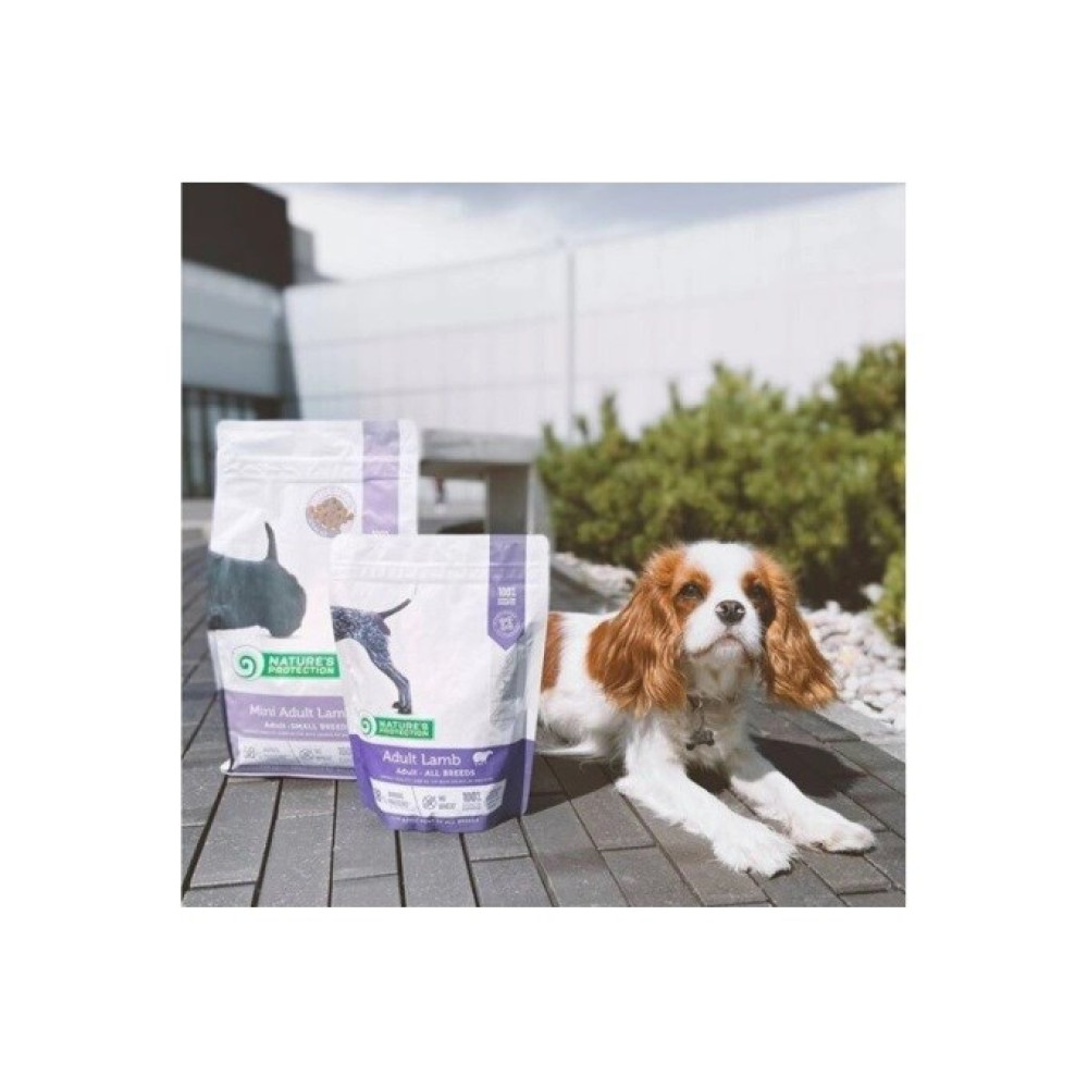 Pies leży obok worków z karmą dla psów na tarasie.