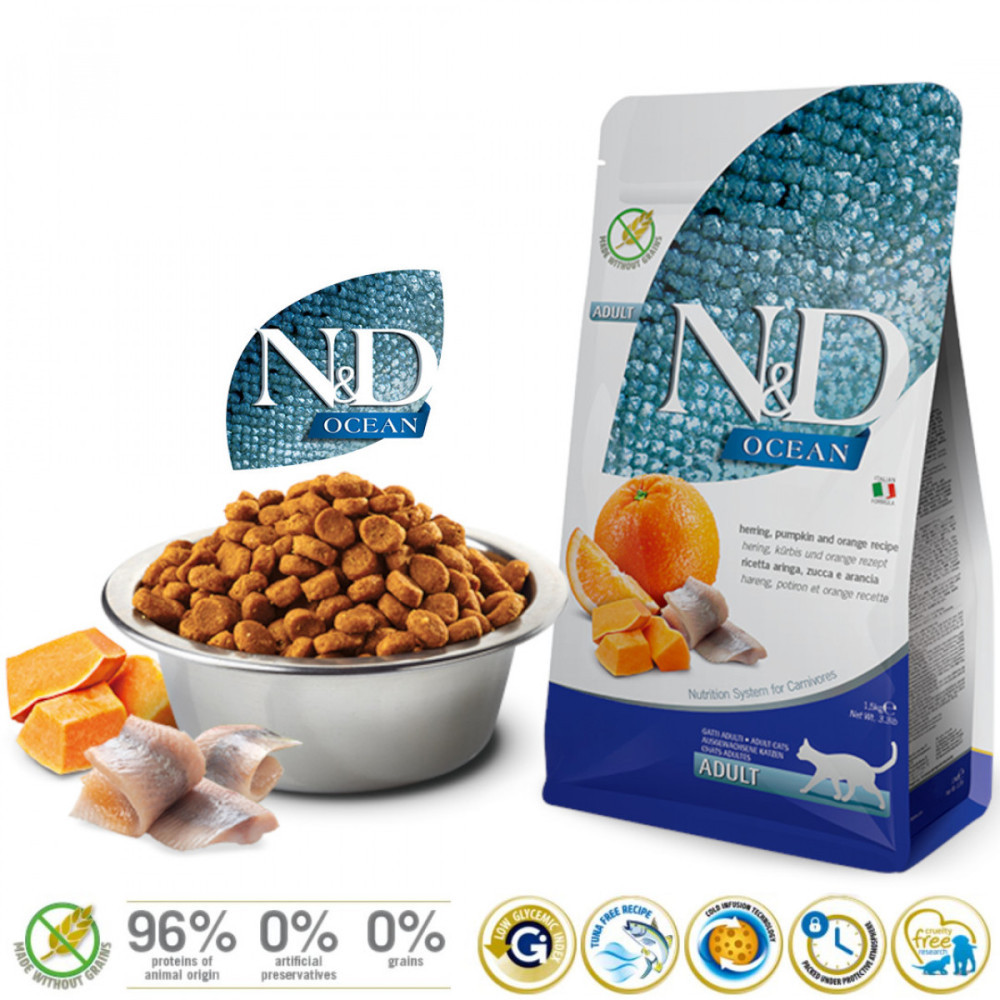 Torba z karmą dla psa z miską i składnikami: śledź, dynia, pomarańcza.