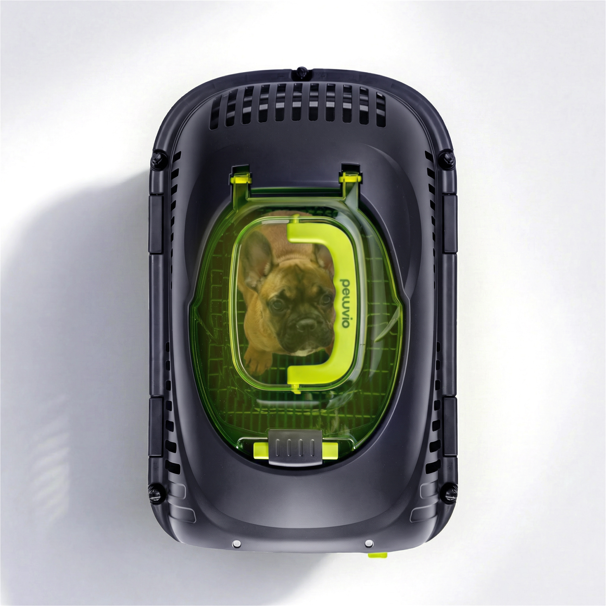 Ein französischer Bulldoggenwelpe blickt aus einem dunklen Haustierkoffer mit neongrünen Akzenten.