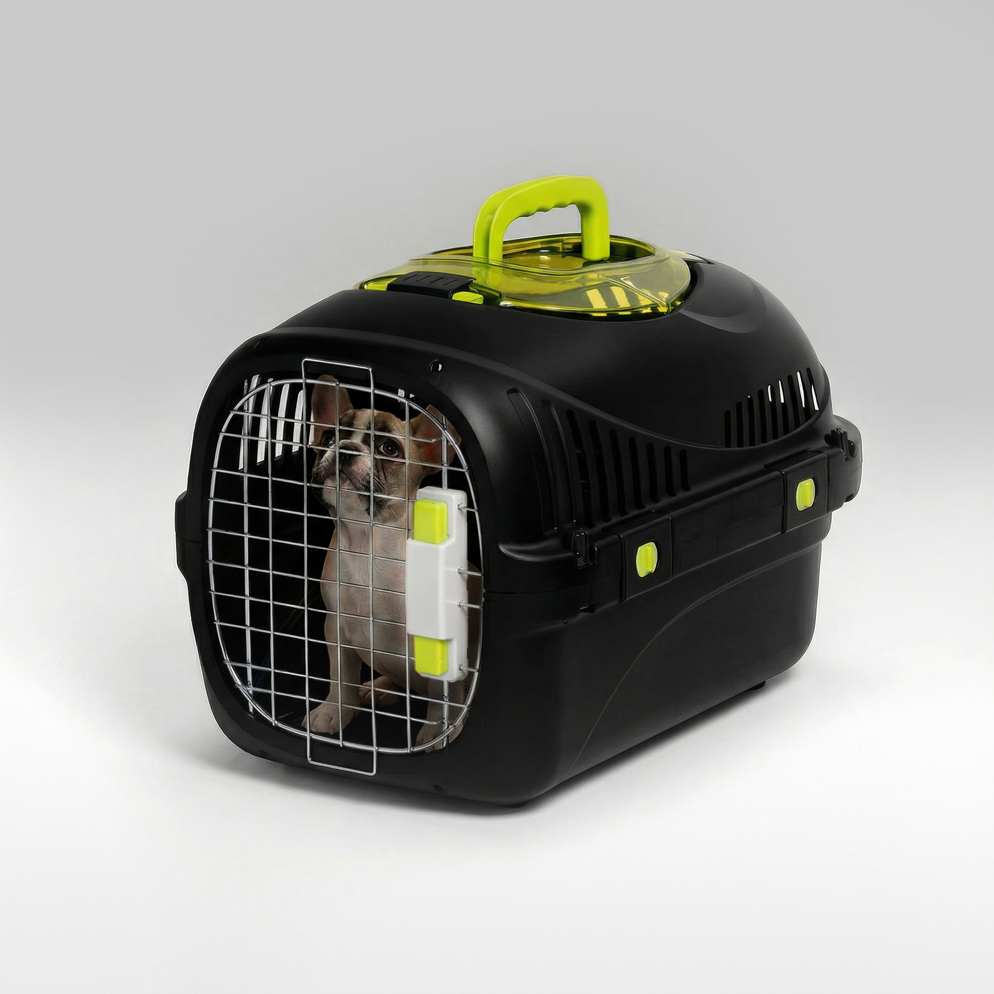 Ein Hund sitzt in einer schwarzen Transportbox mit grünem Griff.