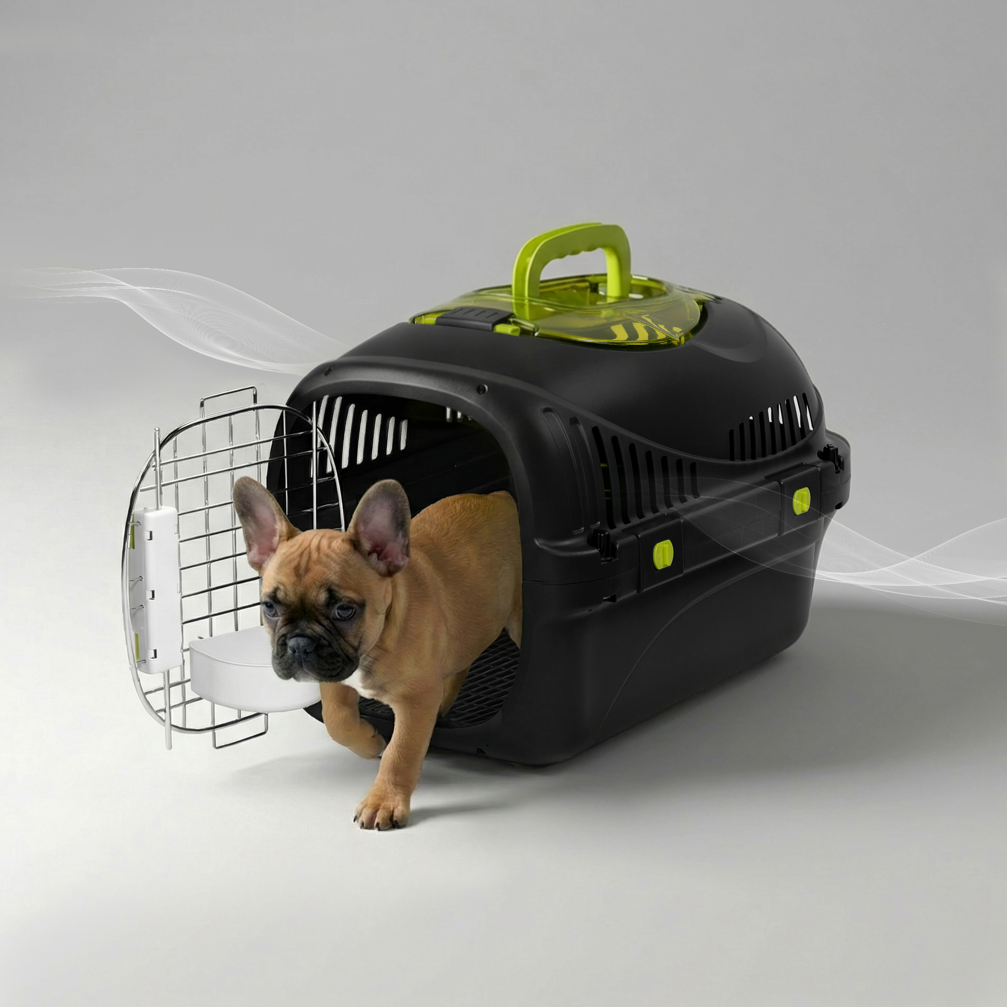 Ein brauner Welpe verlässt eine schwarze Transportbox mit grünem Griff.