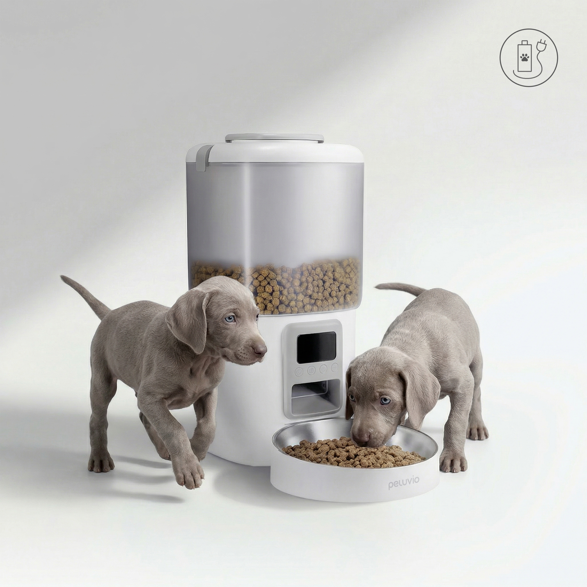 Zwei Weimaraner Welpen fressen aus einem Futternapf neben einem automatischen Futterspender.