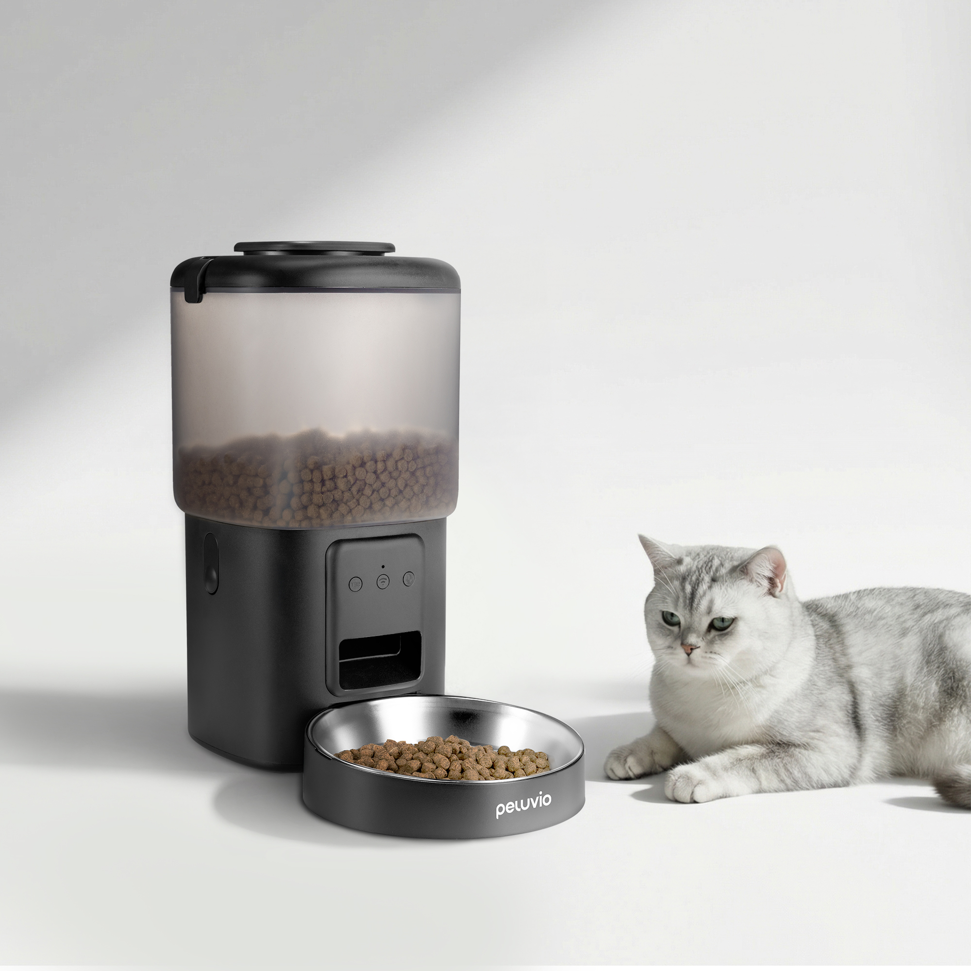 Ein silberner Kater liegt neben einem schwarzen Futterautomaten mit einer Futterschale.