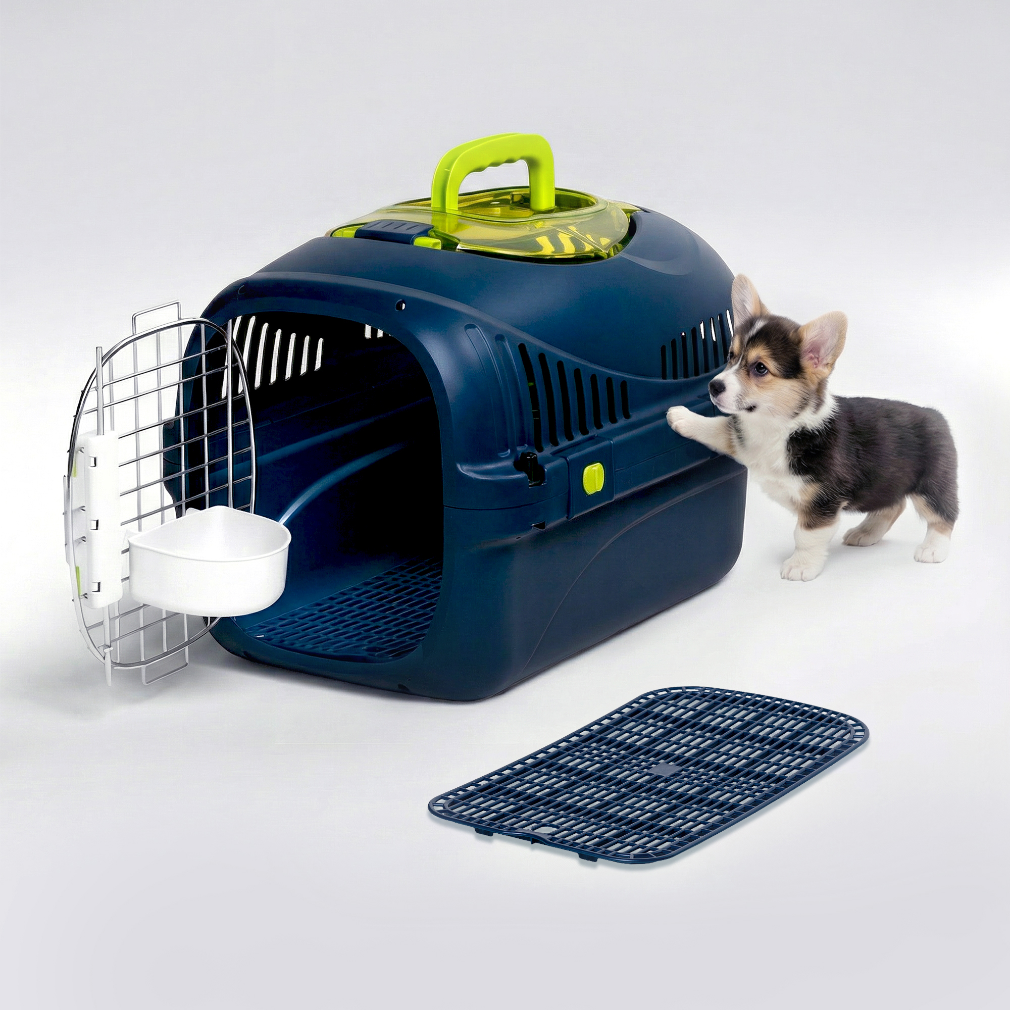 Ein Corgi-Welpe steht neben einer dunkelblauen Transportbox mit gelbem Griff.