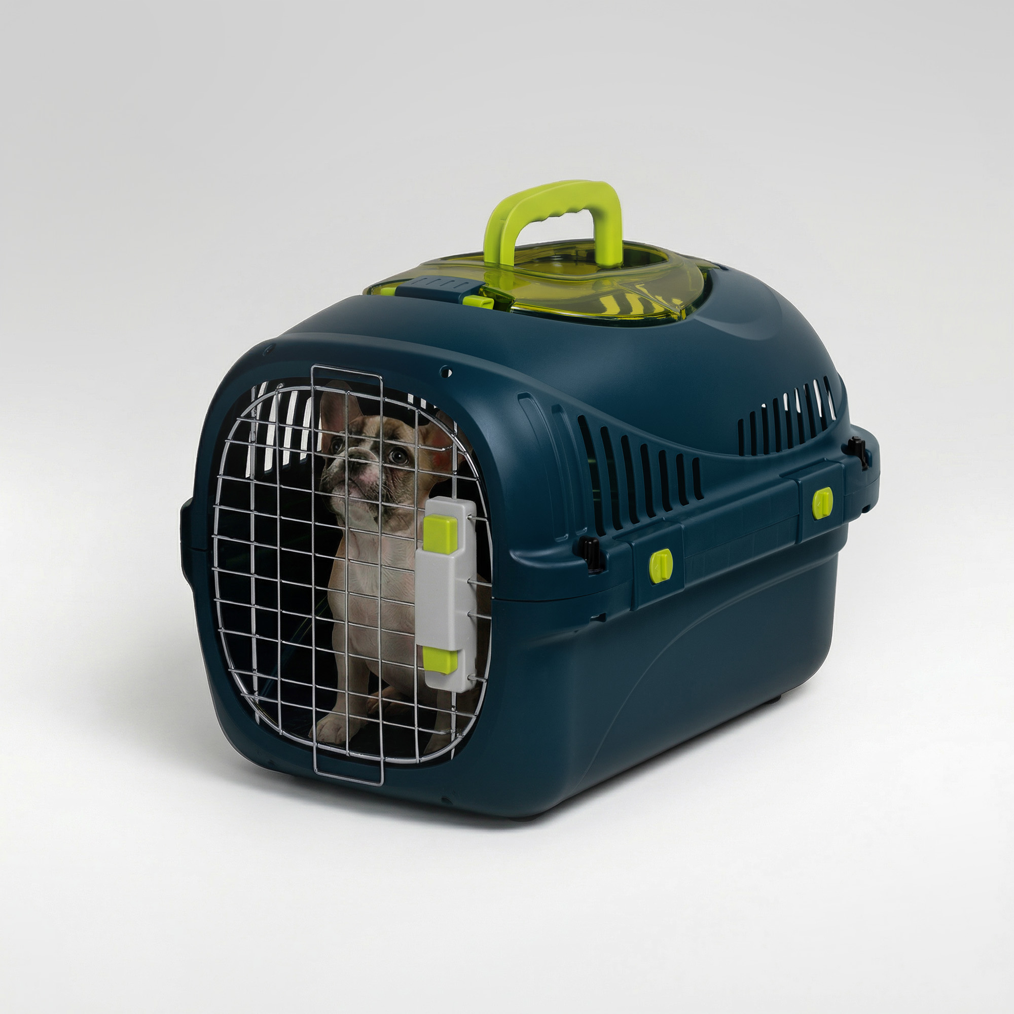 Ein Hund sitzt in einer dunkelblauen Transportbox mit einem grünen Griff.
