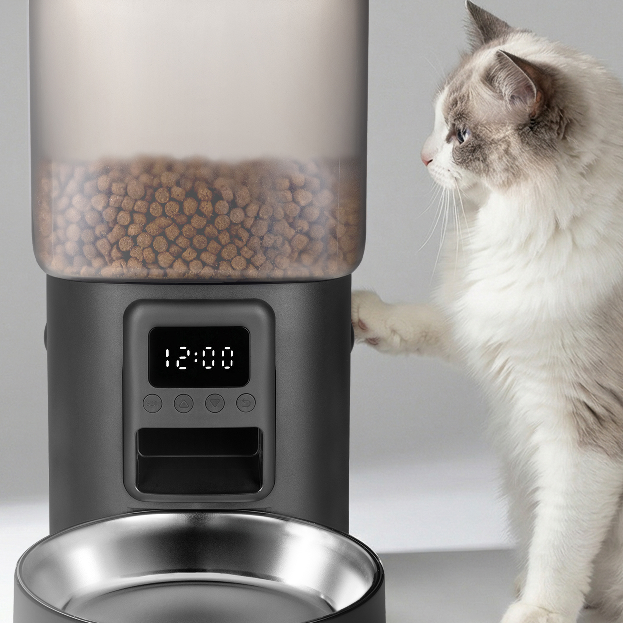 Eine Katze berührt einen Futterautomaten mit digitaler Zeitanzeige.