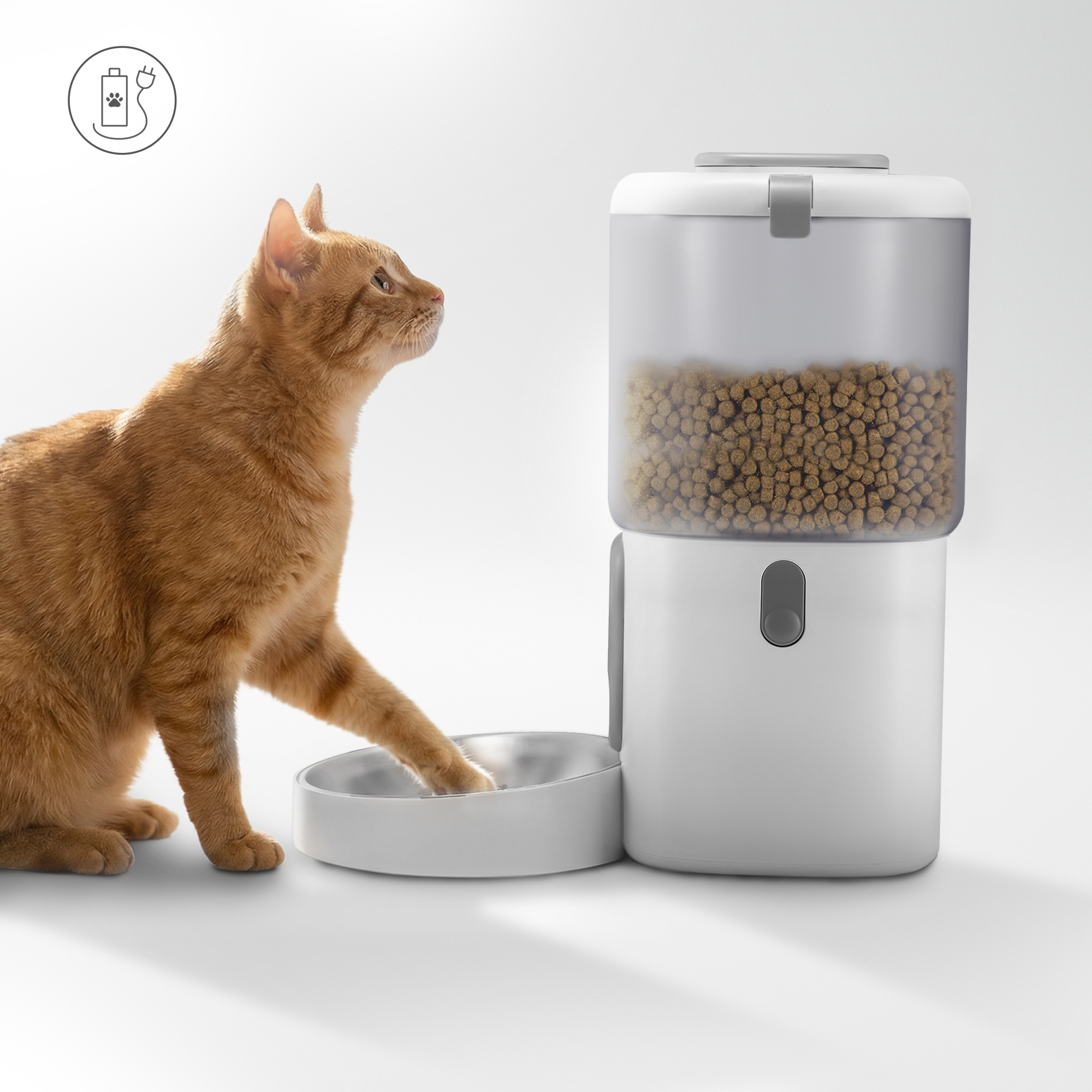Eine orangefarbene Katze sitzt neben einem weißen Futterautomaten mit Futter und einer Futterschale.