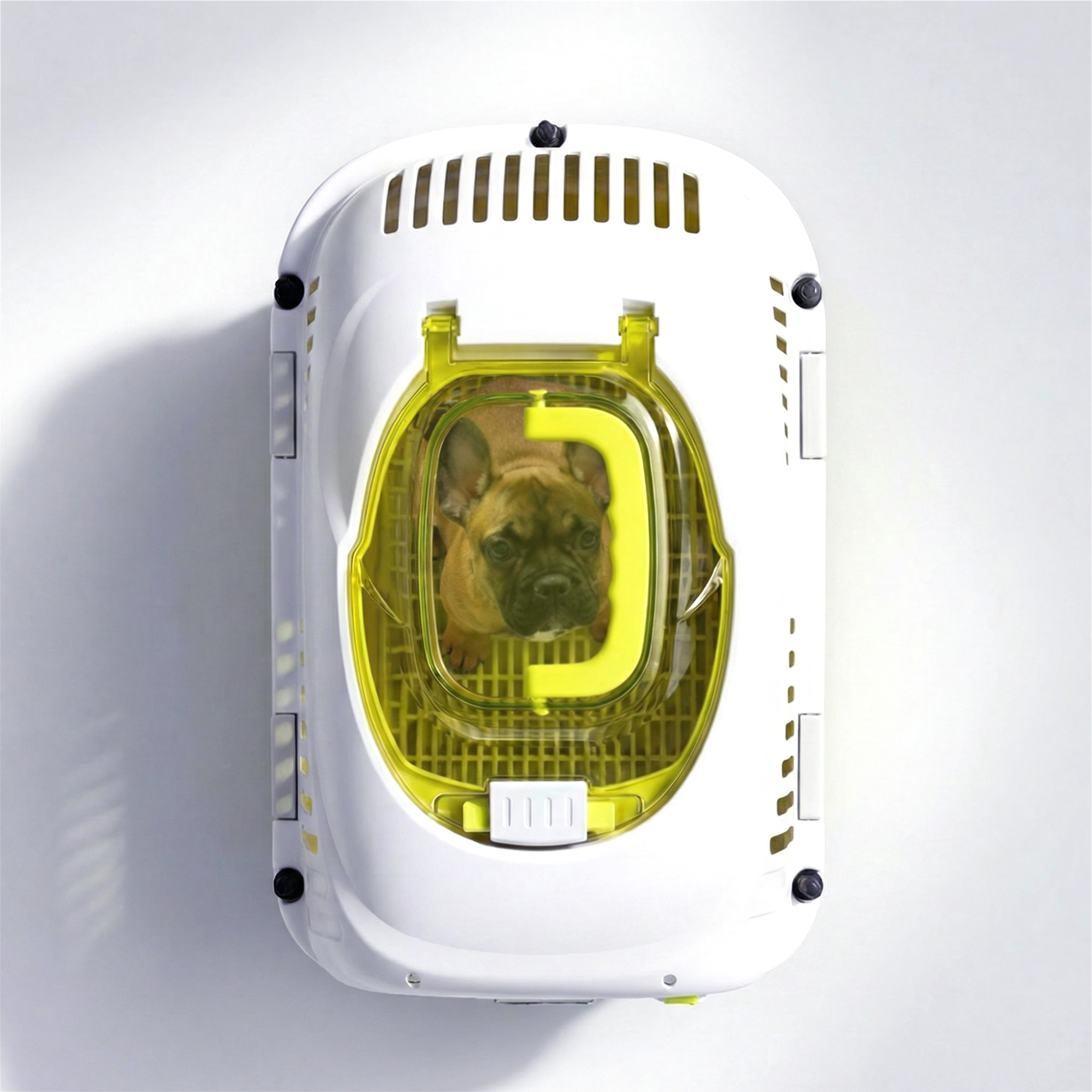 Ein brauner Bulldogge sitzt in einer weißen Transportbox mit gelbem Deckel.