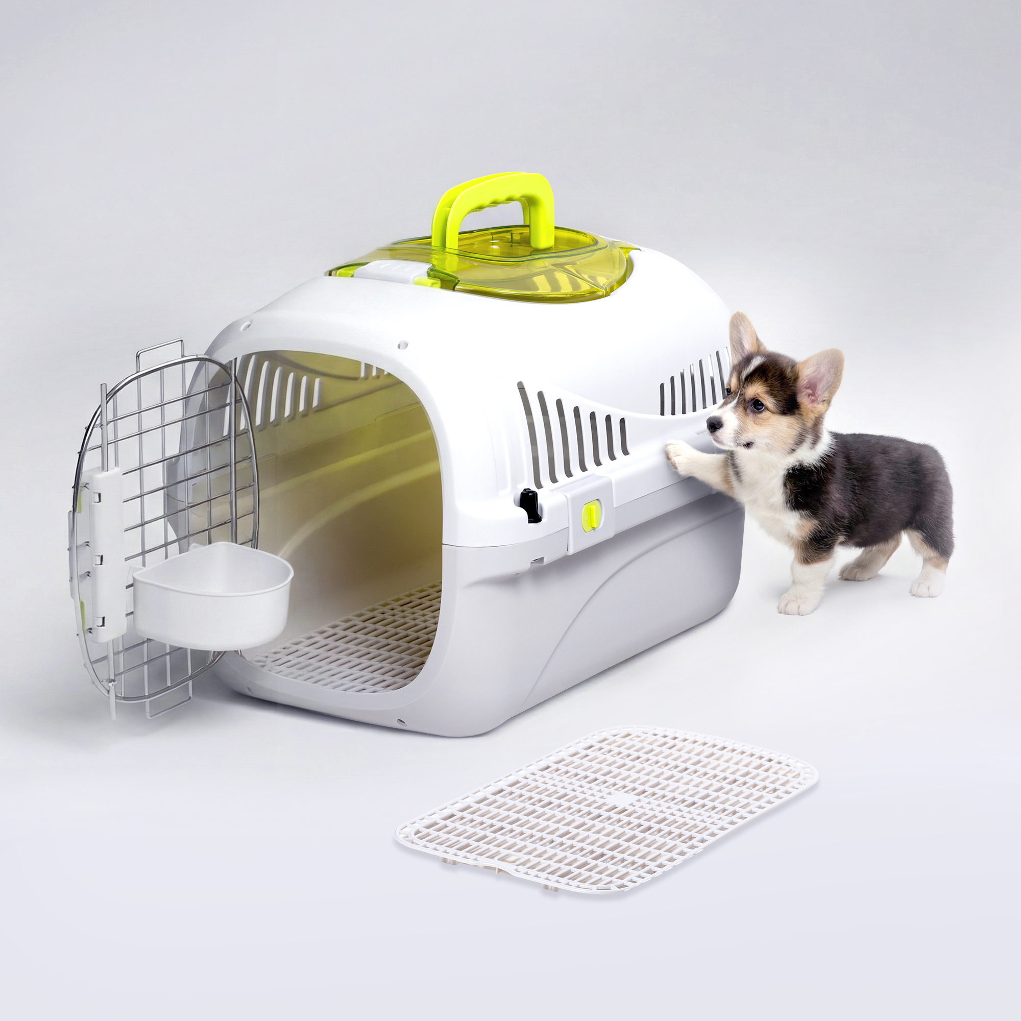 Ein Corgi-Welpe steht vor einer weißen Transportbox mit gelbem Griff.