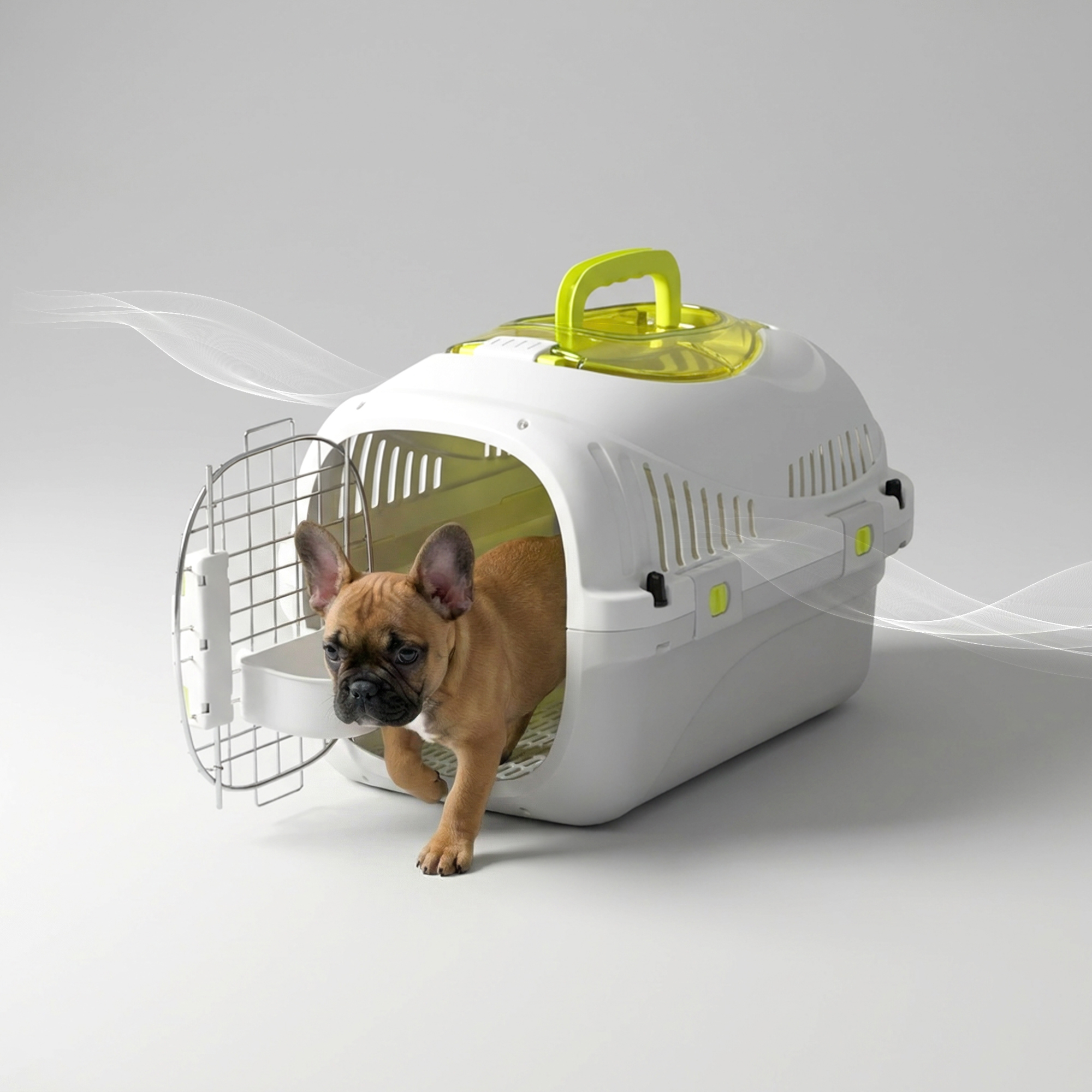Ein brauner Französischer Bulldogge kriecht aus einer weißen Transportbox mit grünem Griff.
