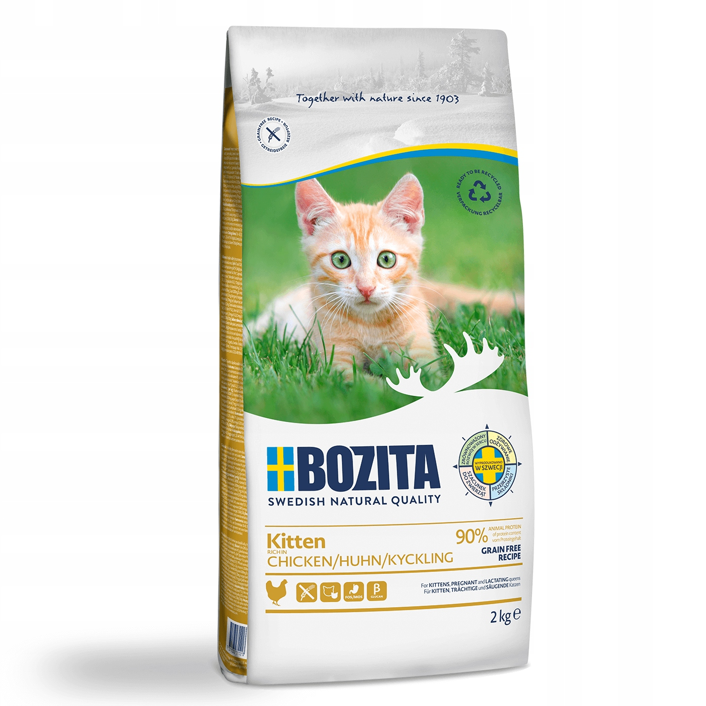 Kociak leży na zielonej trawie przed opakowaniem karmy dla kotów Bozita.