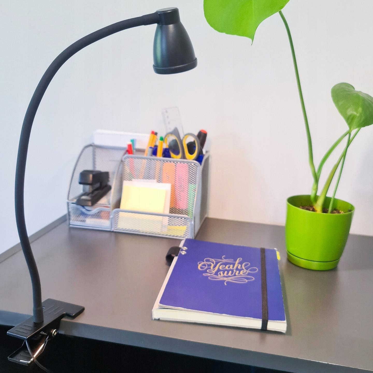Un escritorio con lámpara, cuaderno, planta y material de oficina.