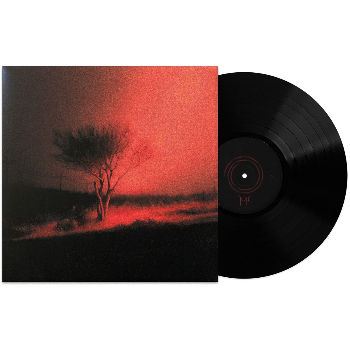 Disco in vinile nero accanto alla copertina dell'album con un albero solitario nella luce rossa.