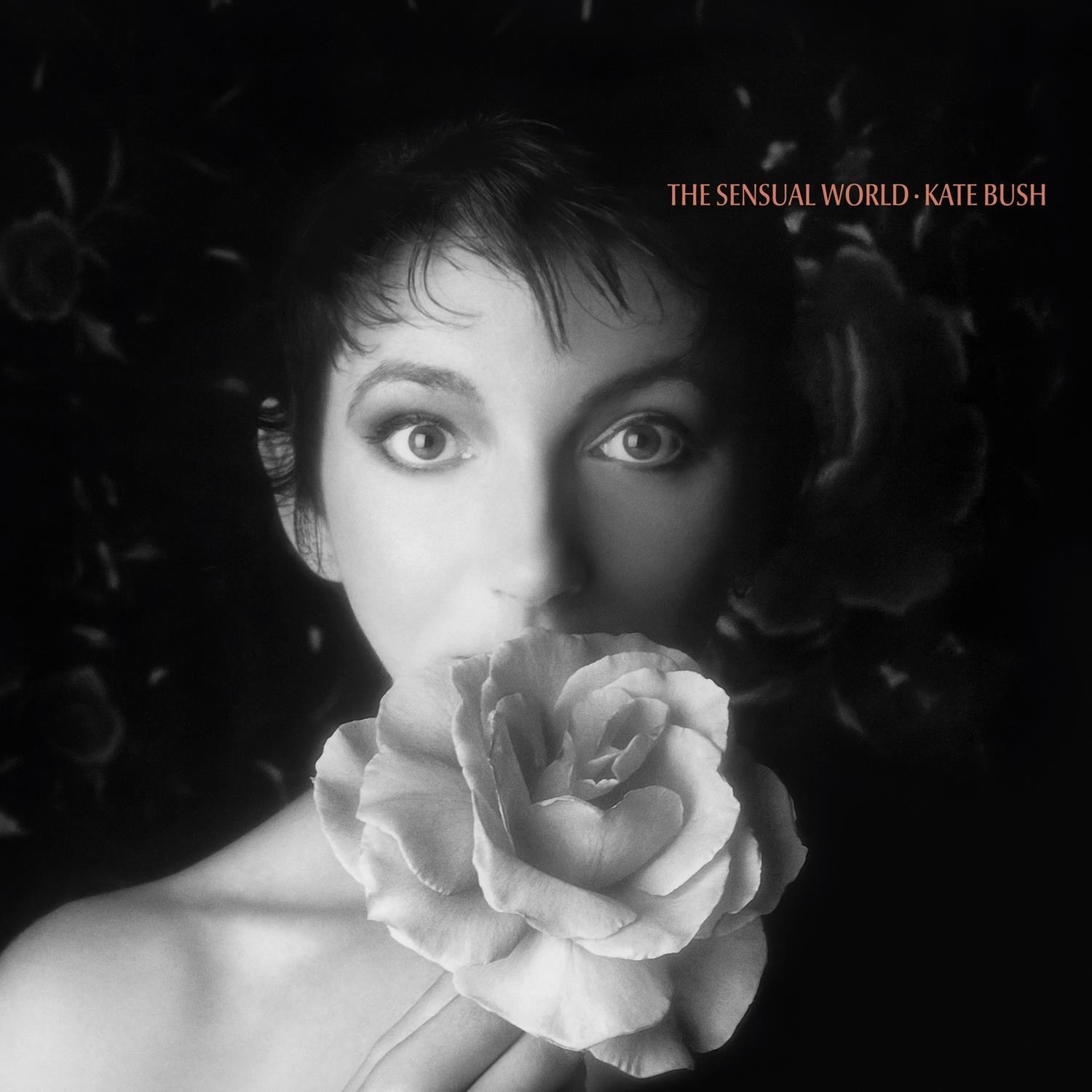 Kate Bush tiene una rosa bianca davanti alla bocca. Ritratto in bianco e nero.